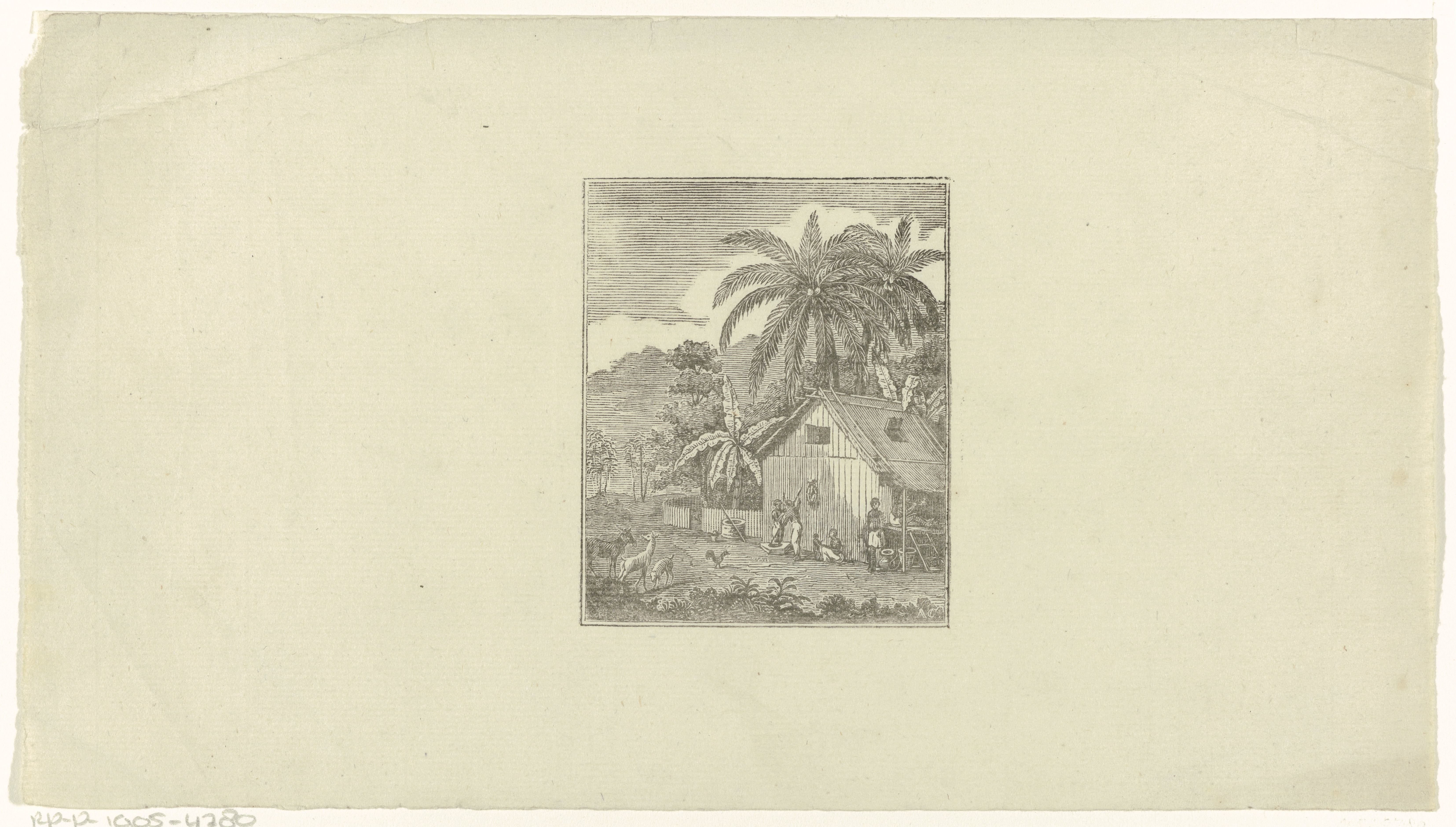 Landschap met een huis onder kokospalmen