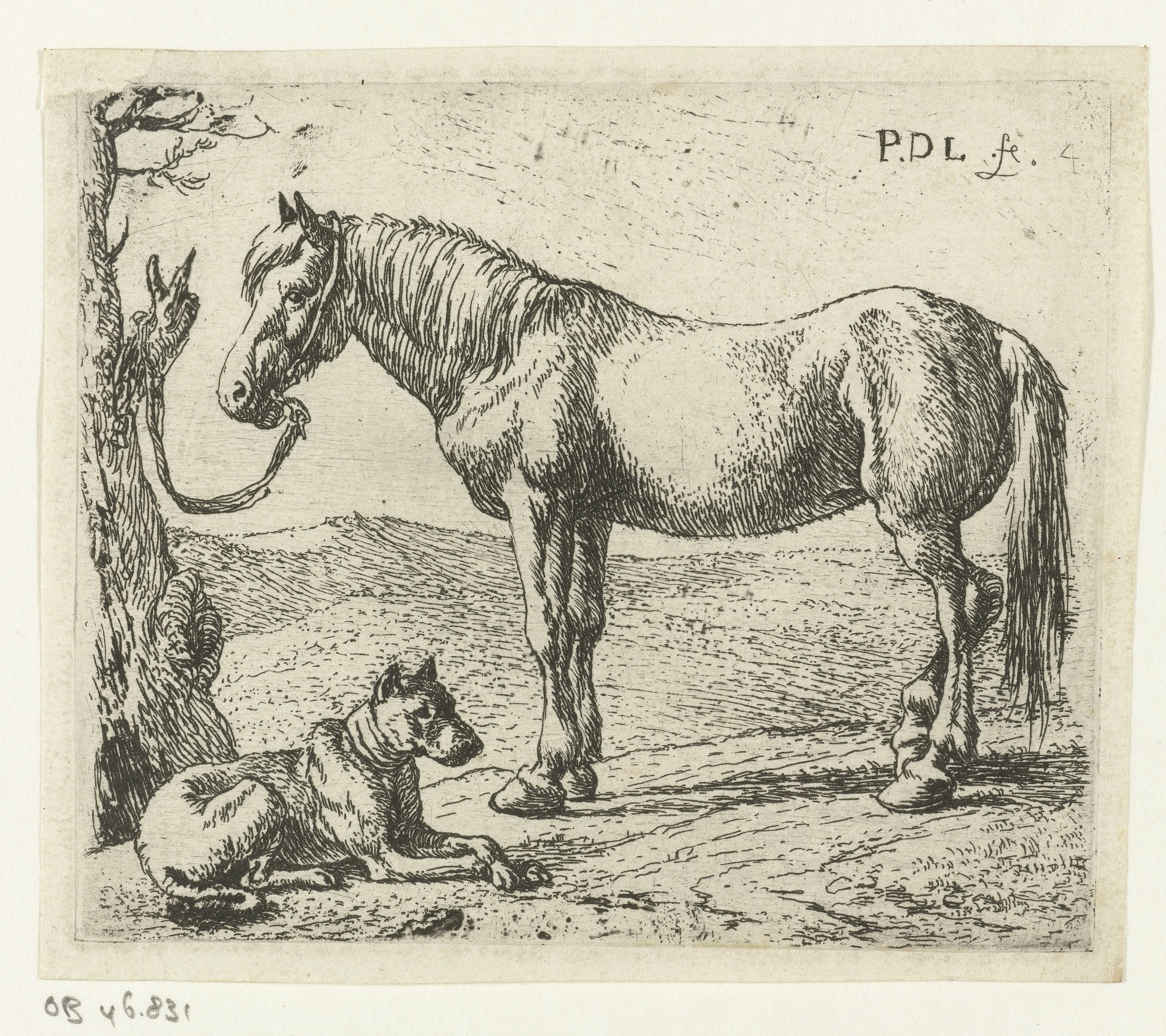 Paard en hond in een weide