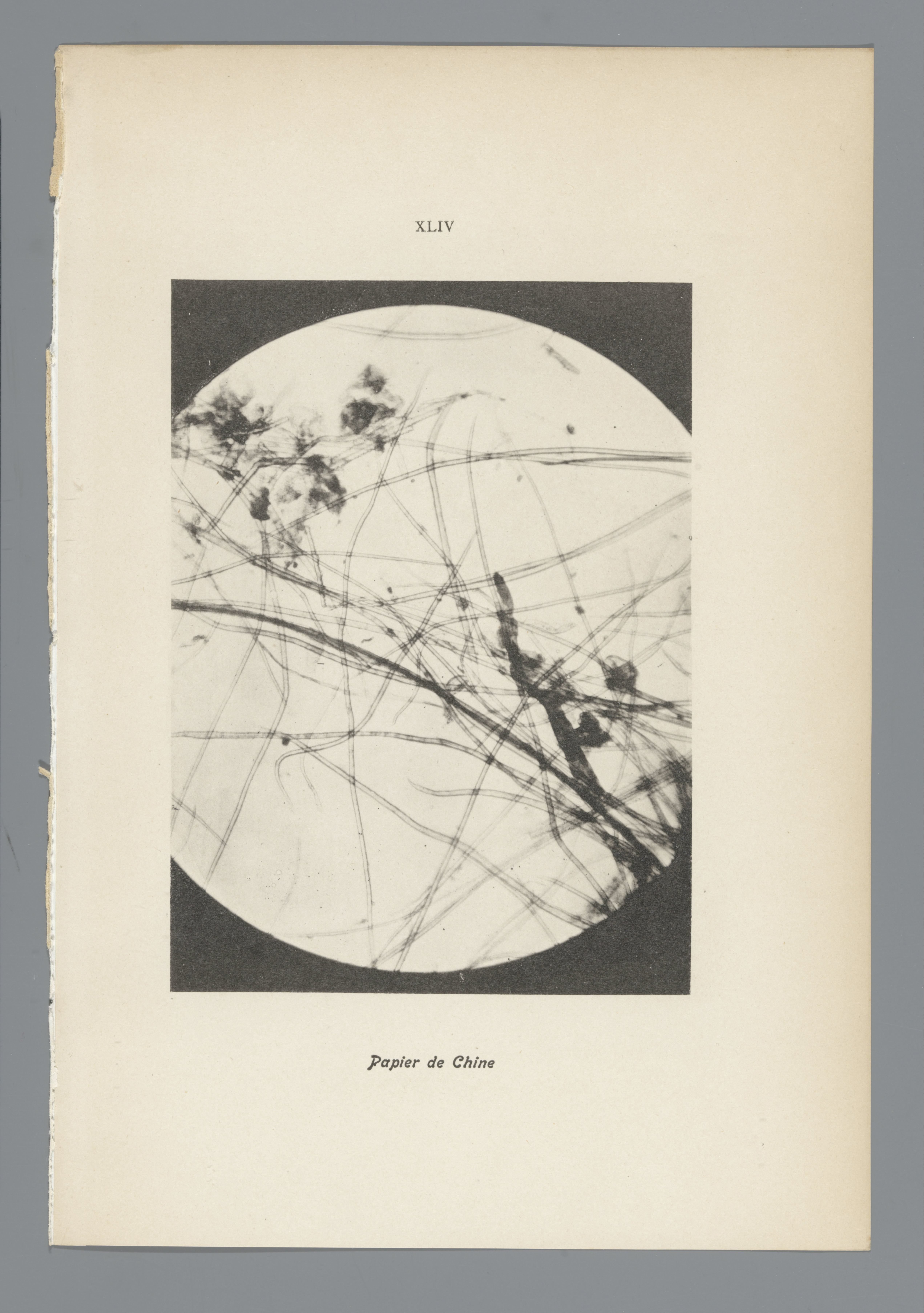 XLIV Papier de Chine