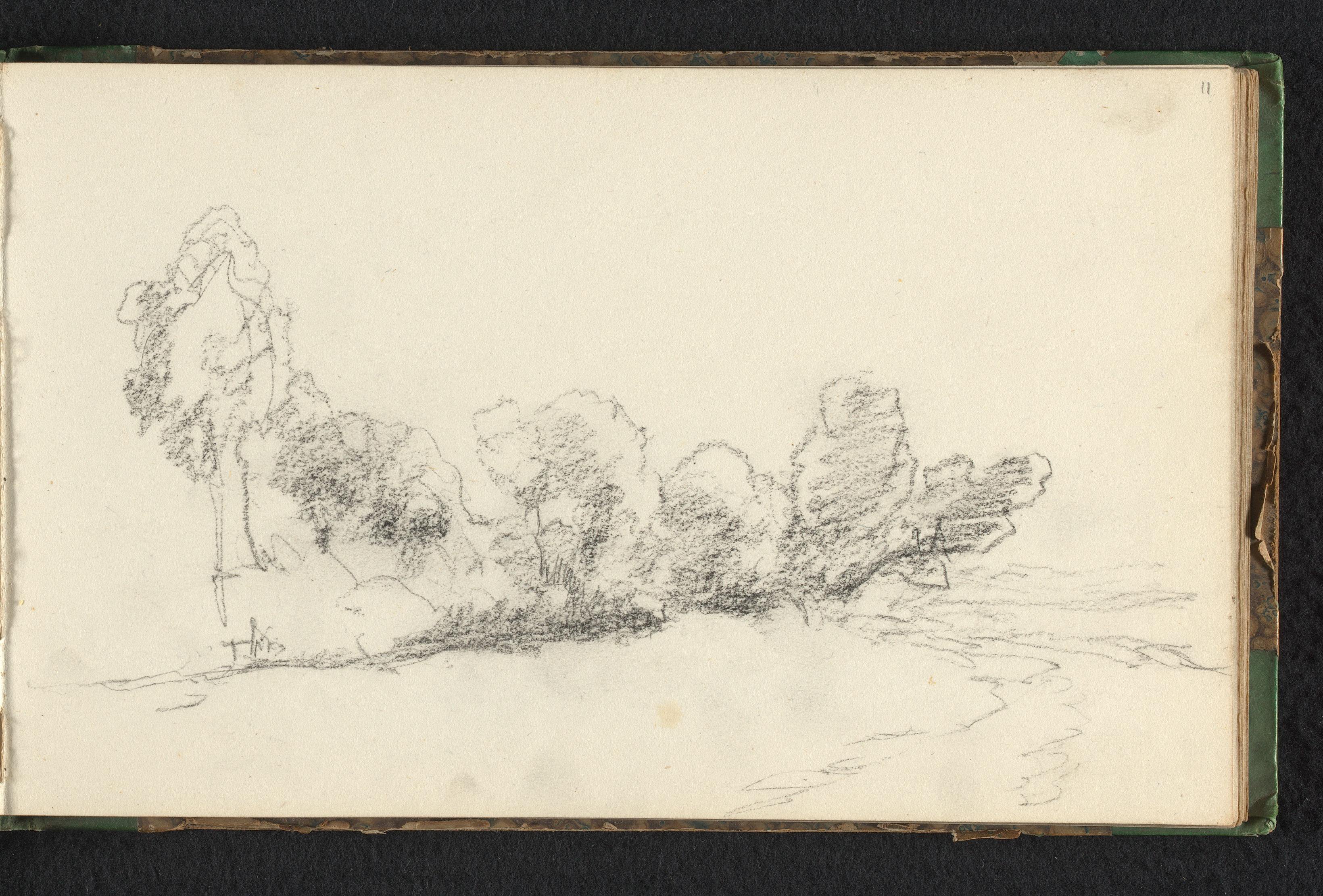 Landschap met bomen