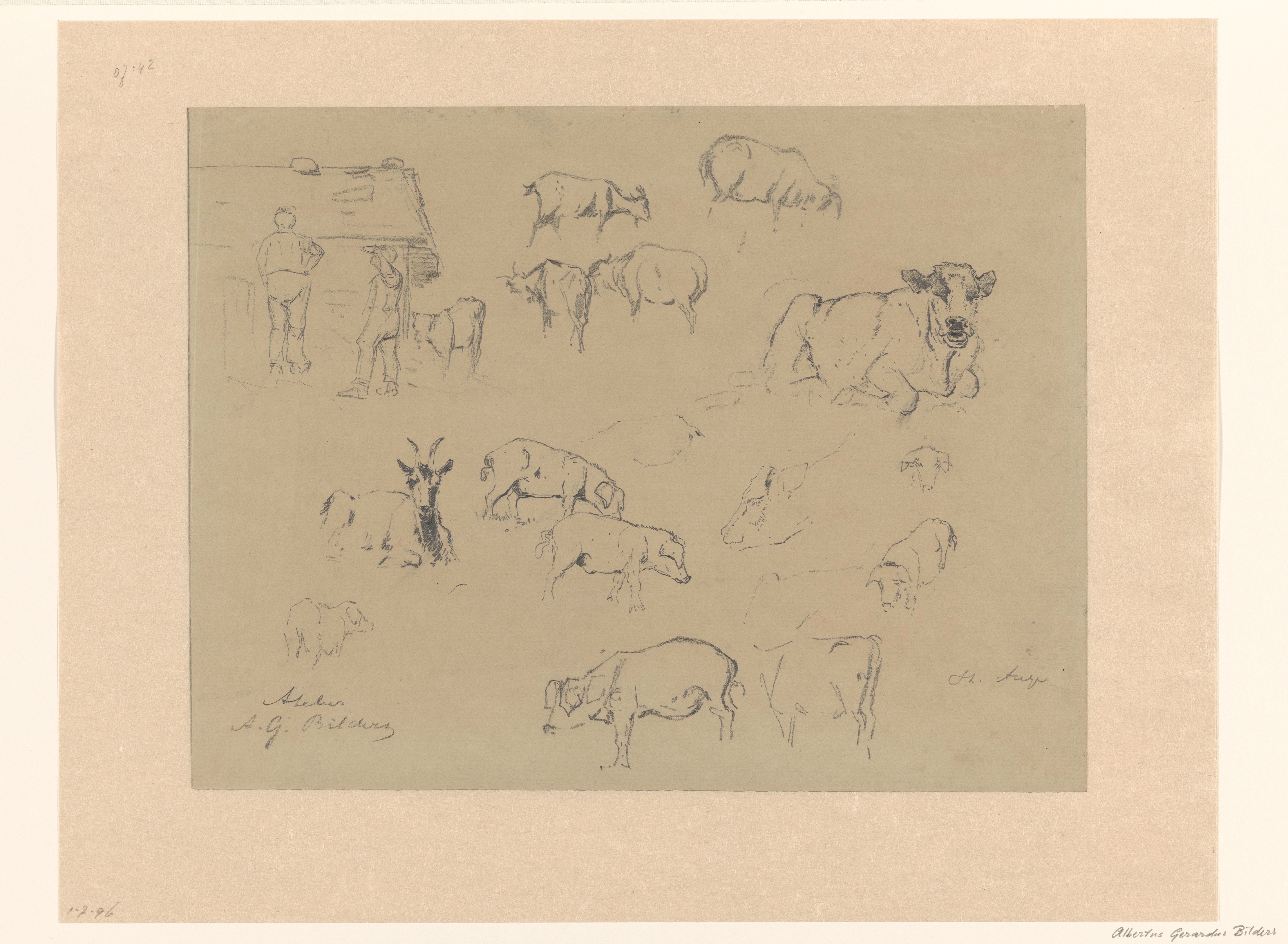 Schetsblad met studies van koeien, varkens, geiten en een paar boeren