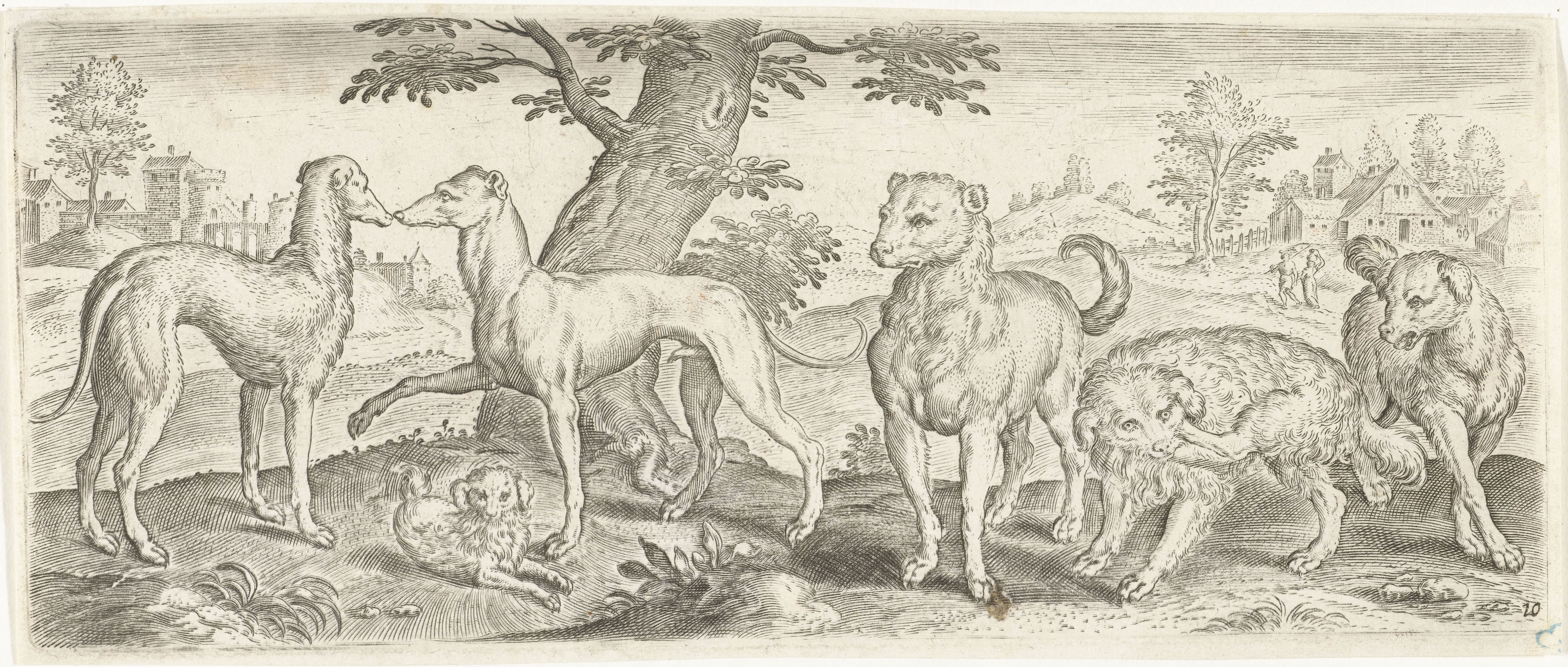 Honden