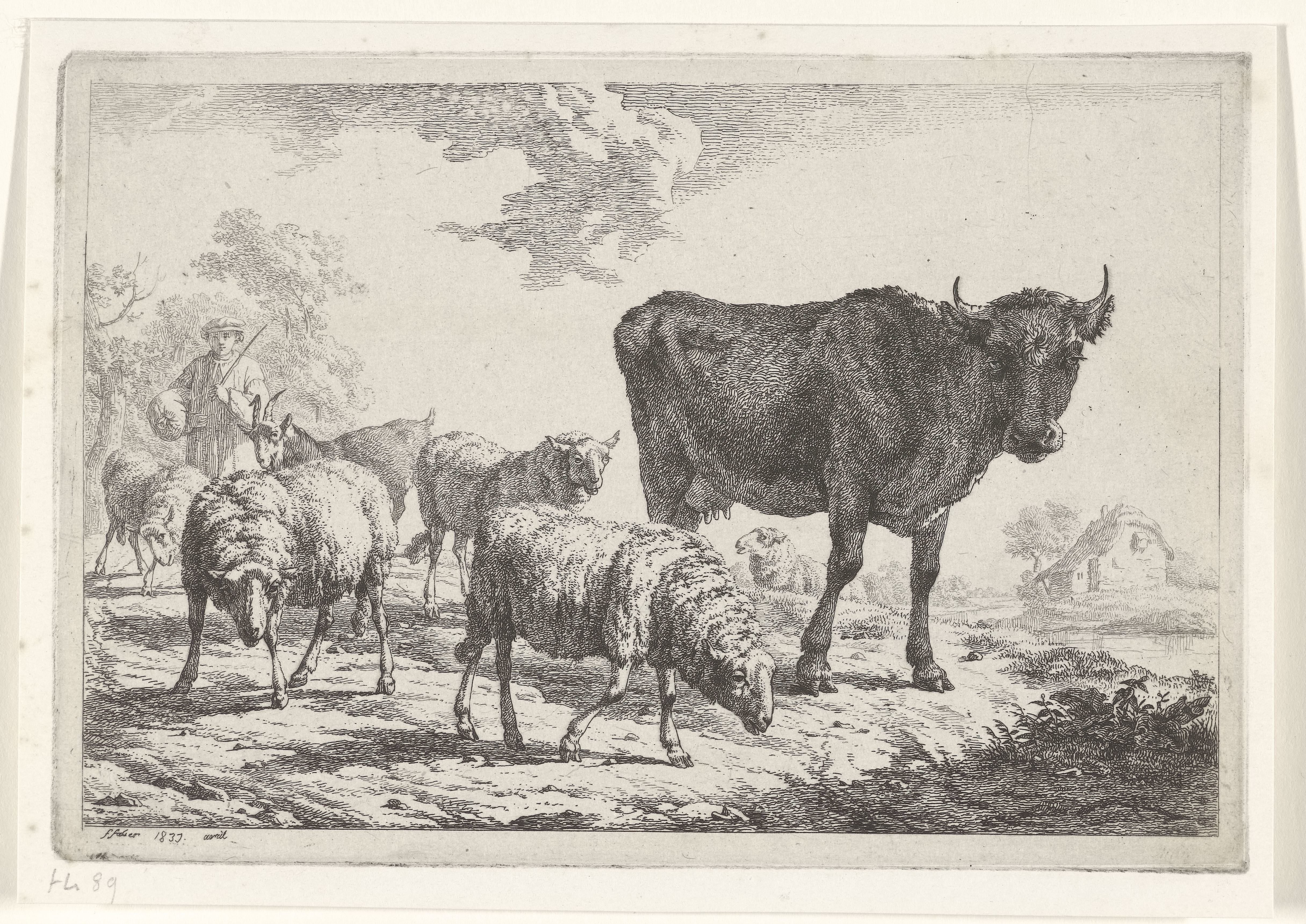 Herder met kudde