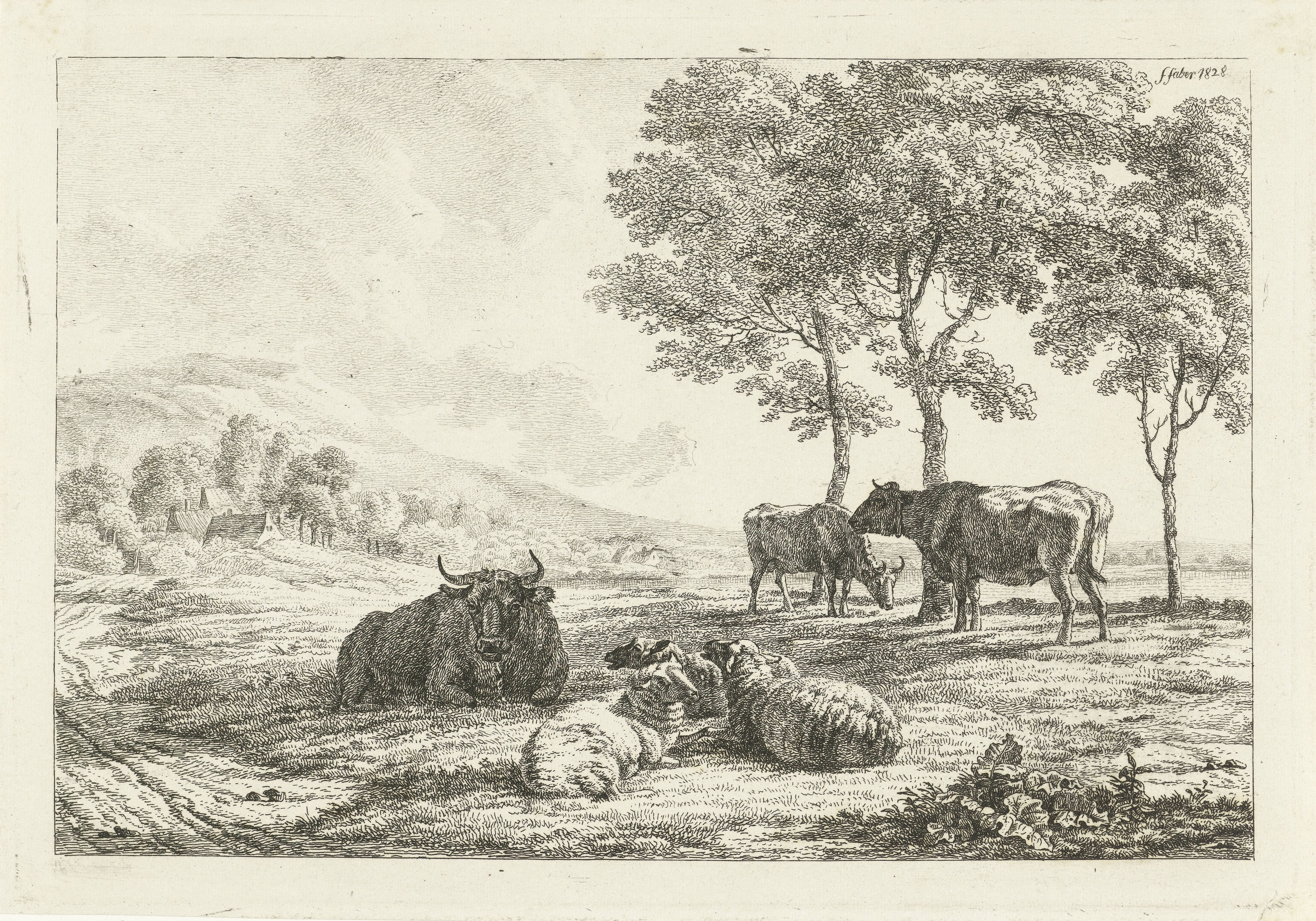 Kudde schapen en stieren onder de bomen