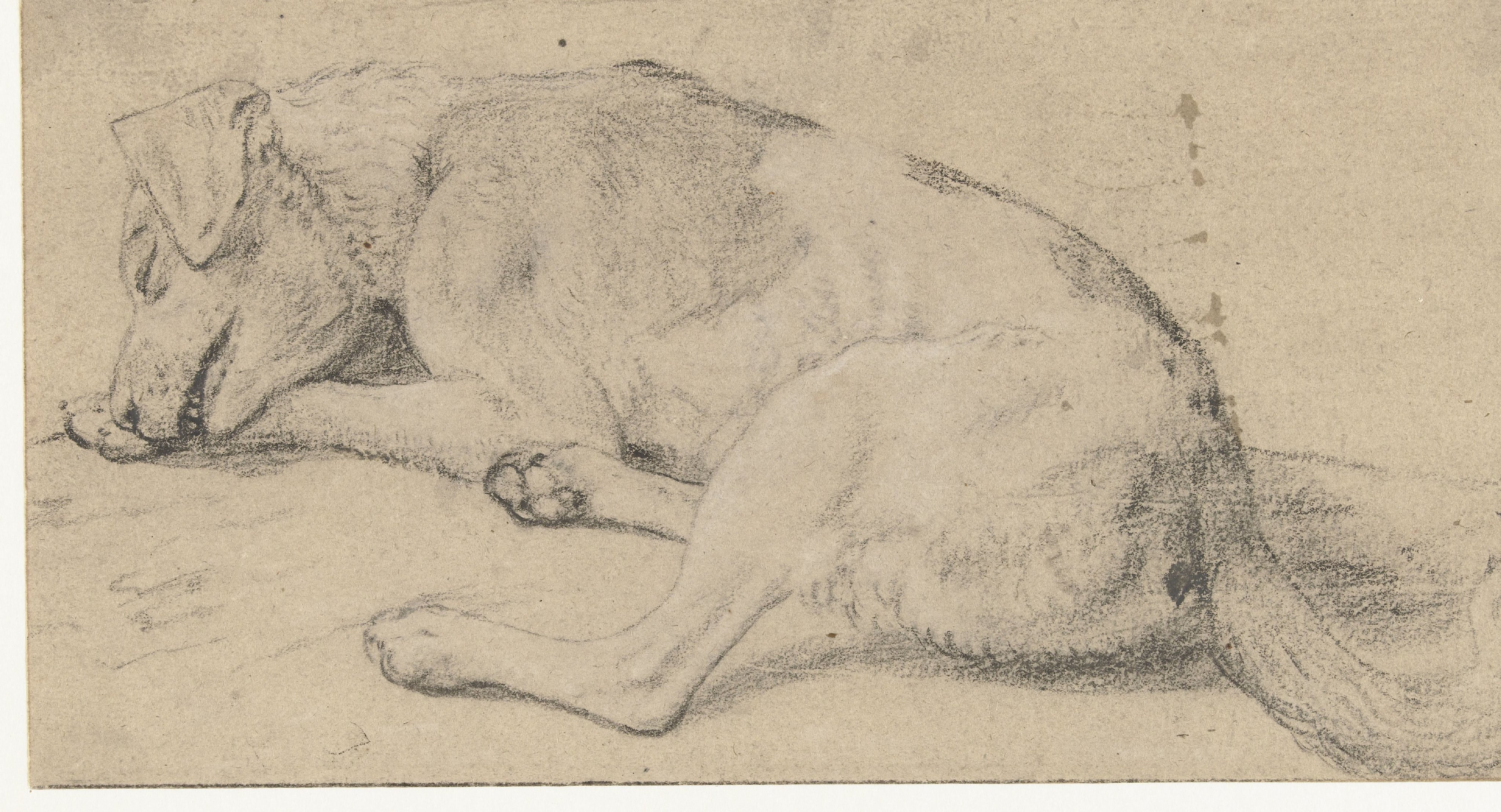Een slapende hond