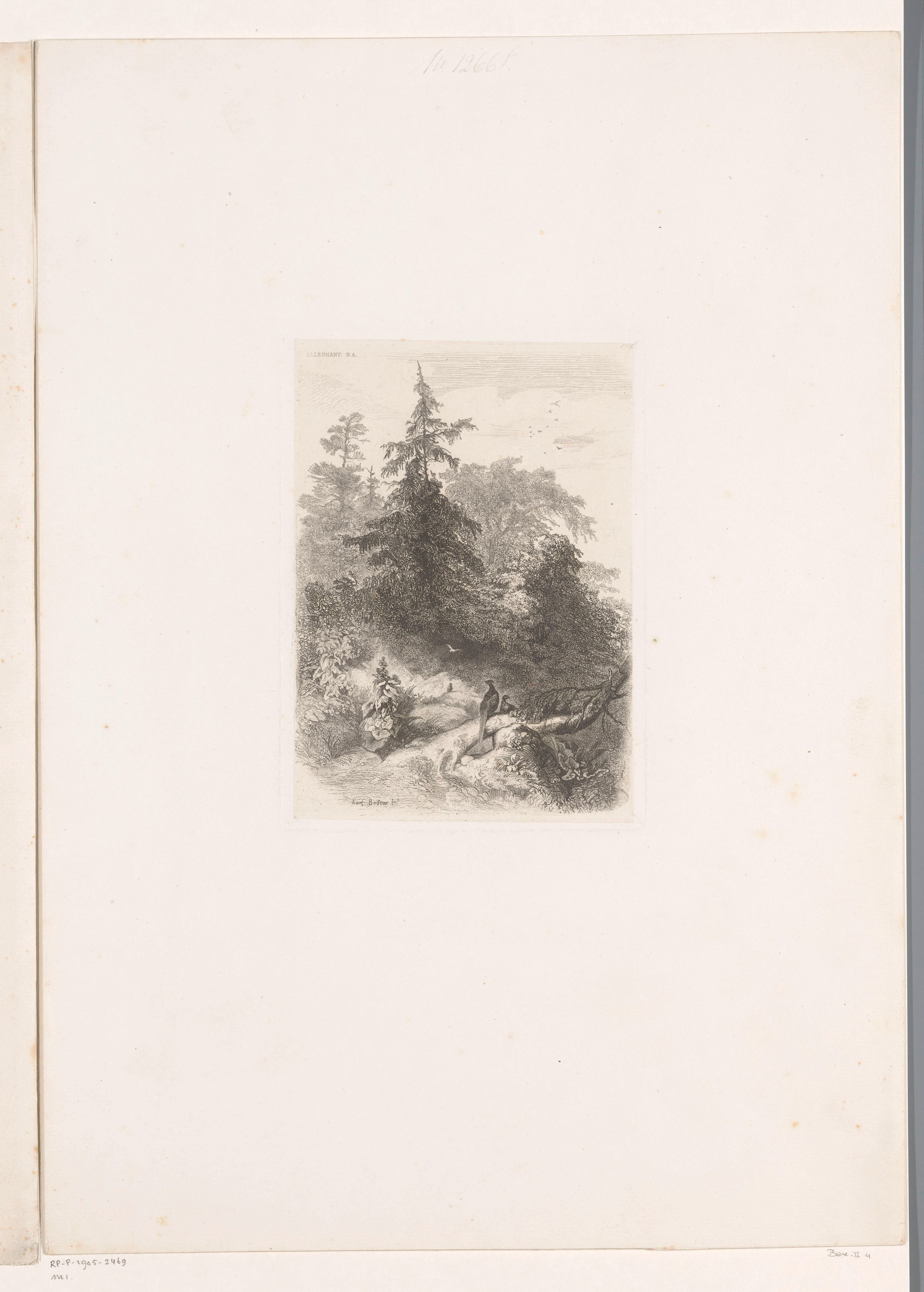 Boslandschap met fazanten