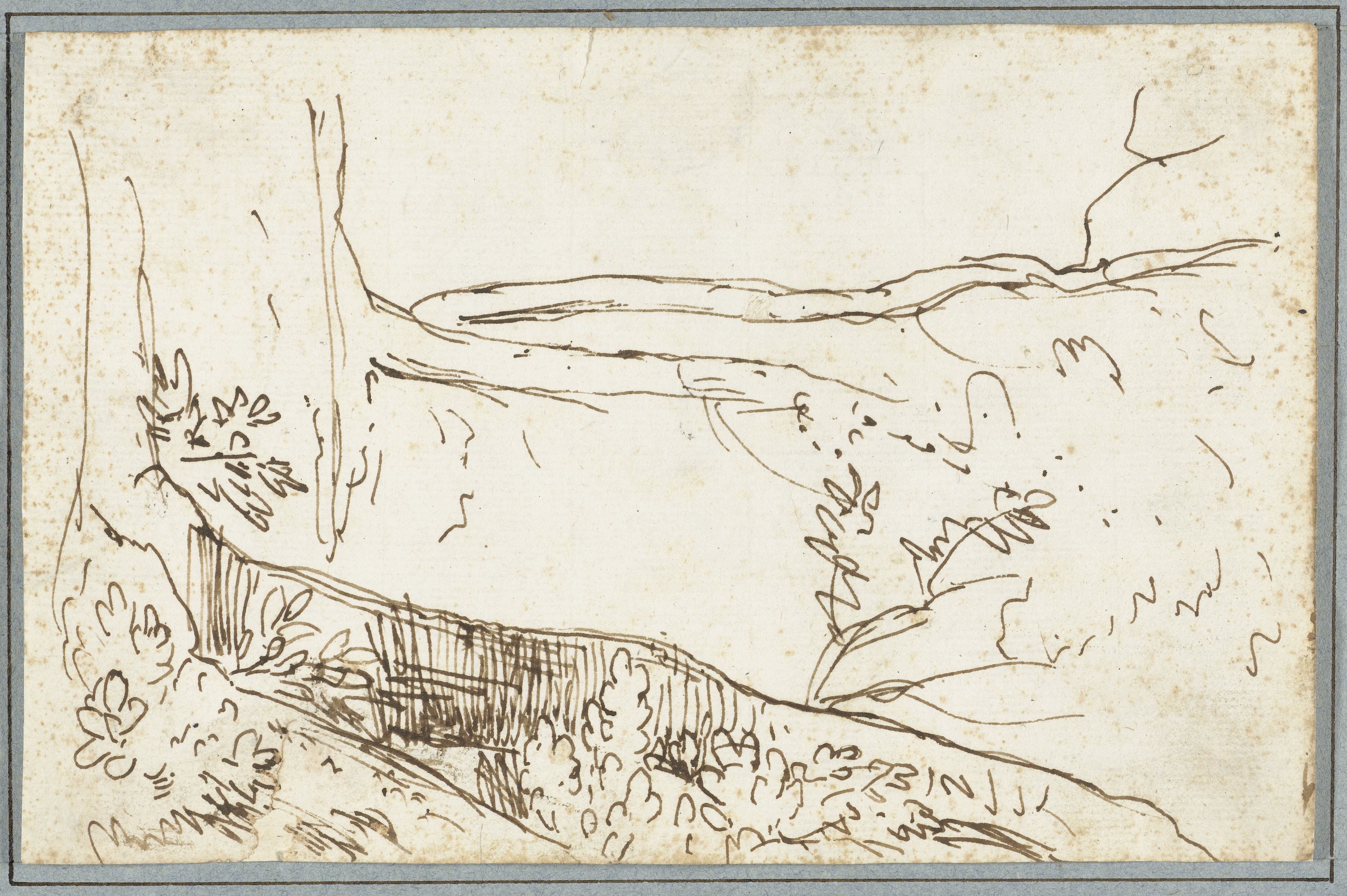 Studie van twee bomen