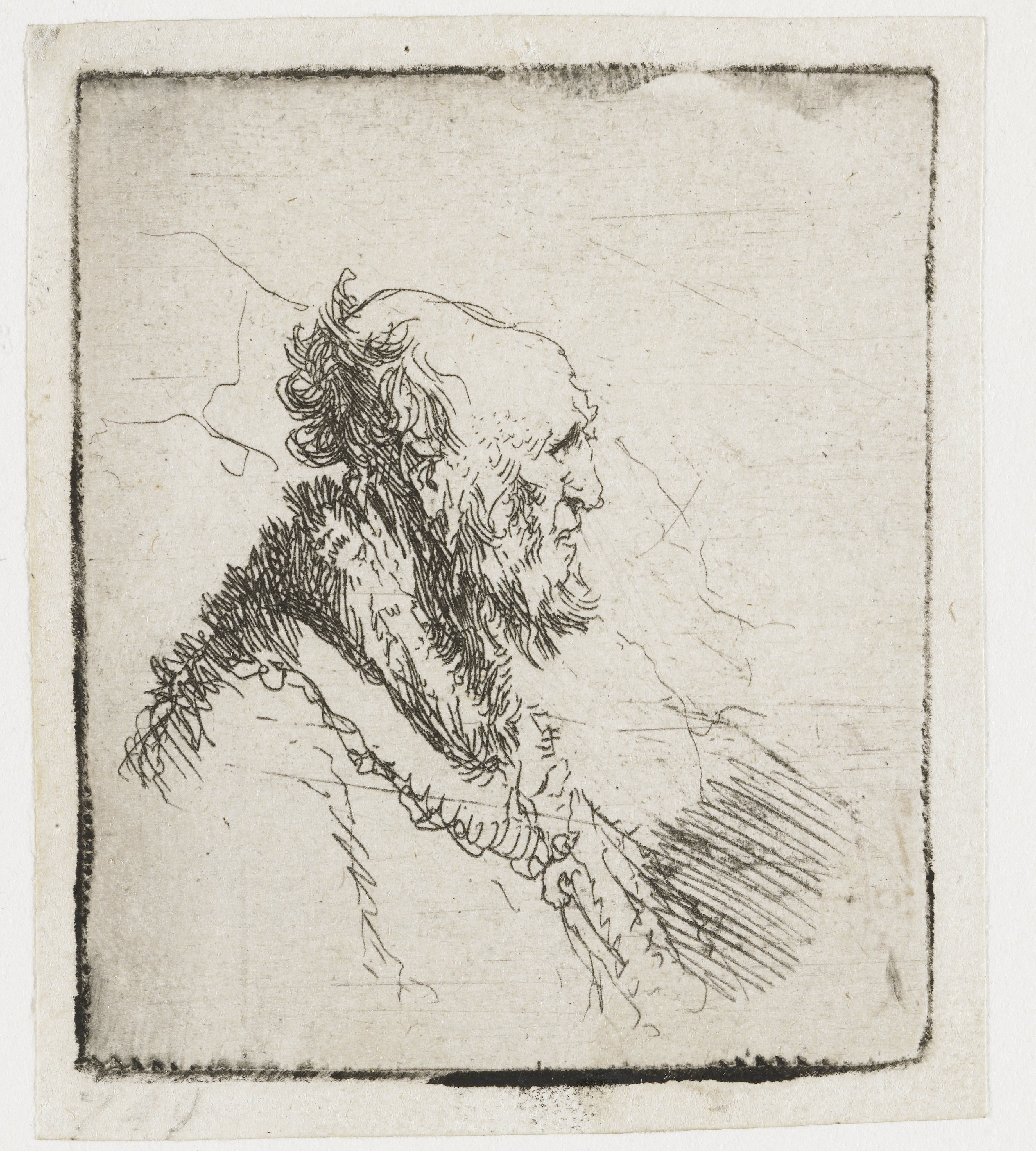 Bald Old Man with a Short Beard
