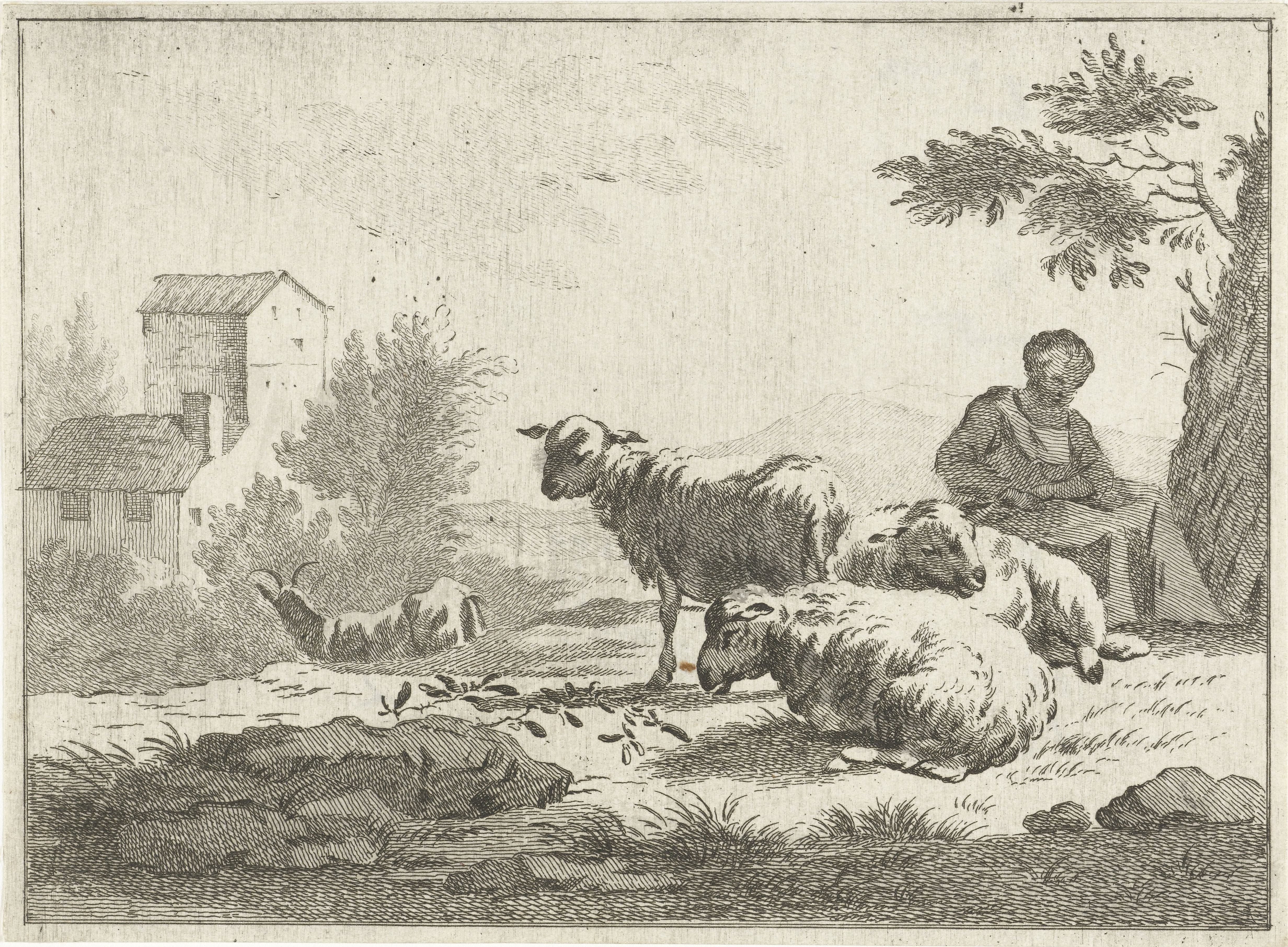 Jan Matthias Cok