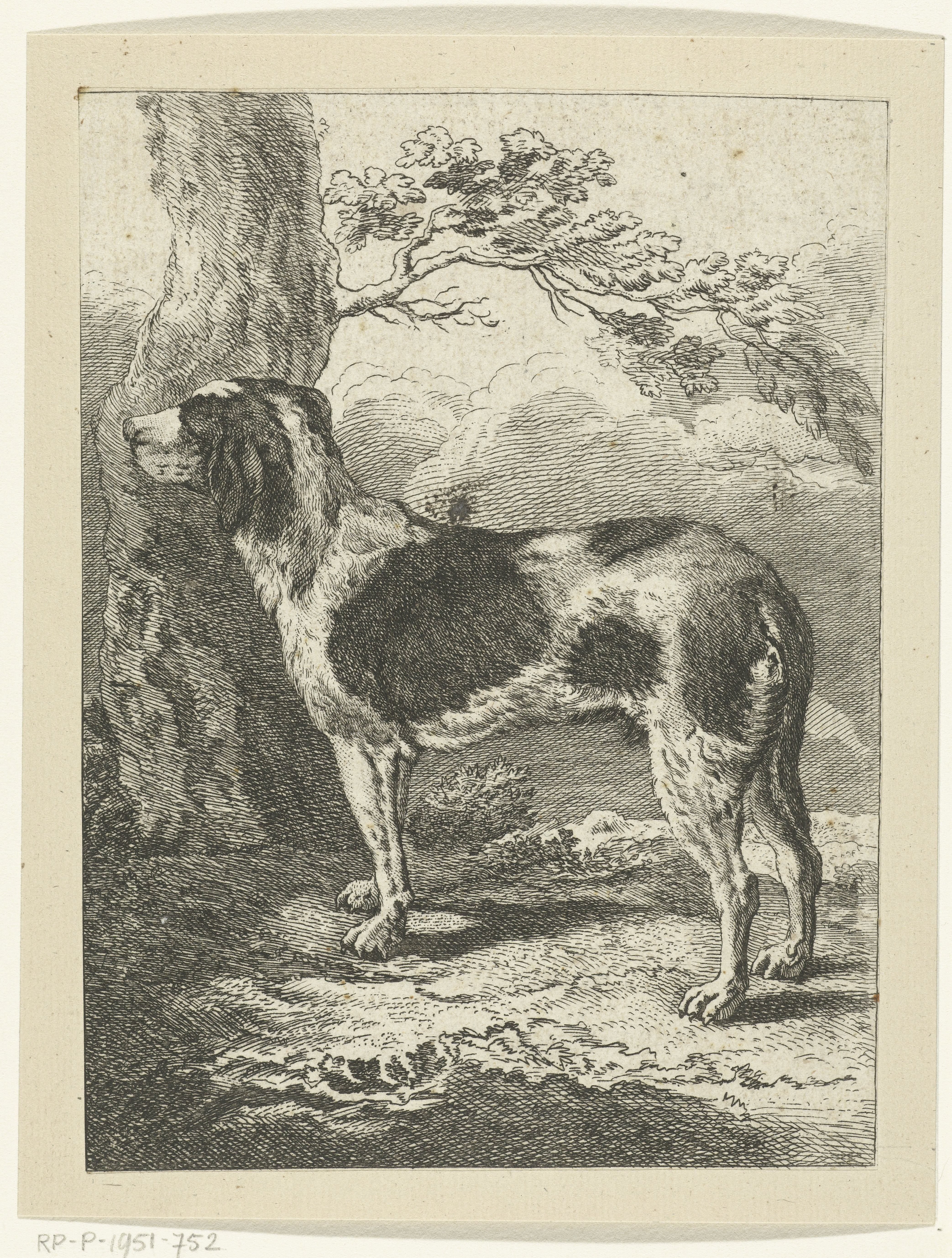 Staande hond bij boom