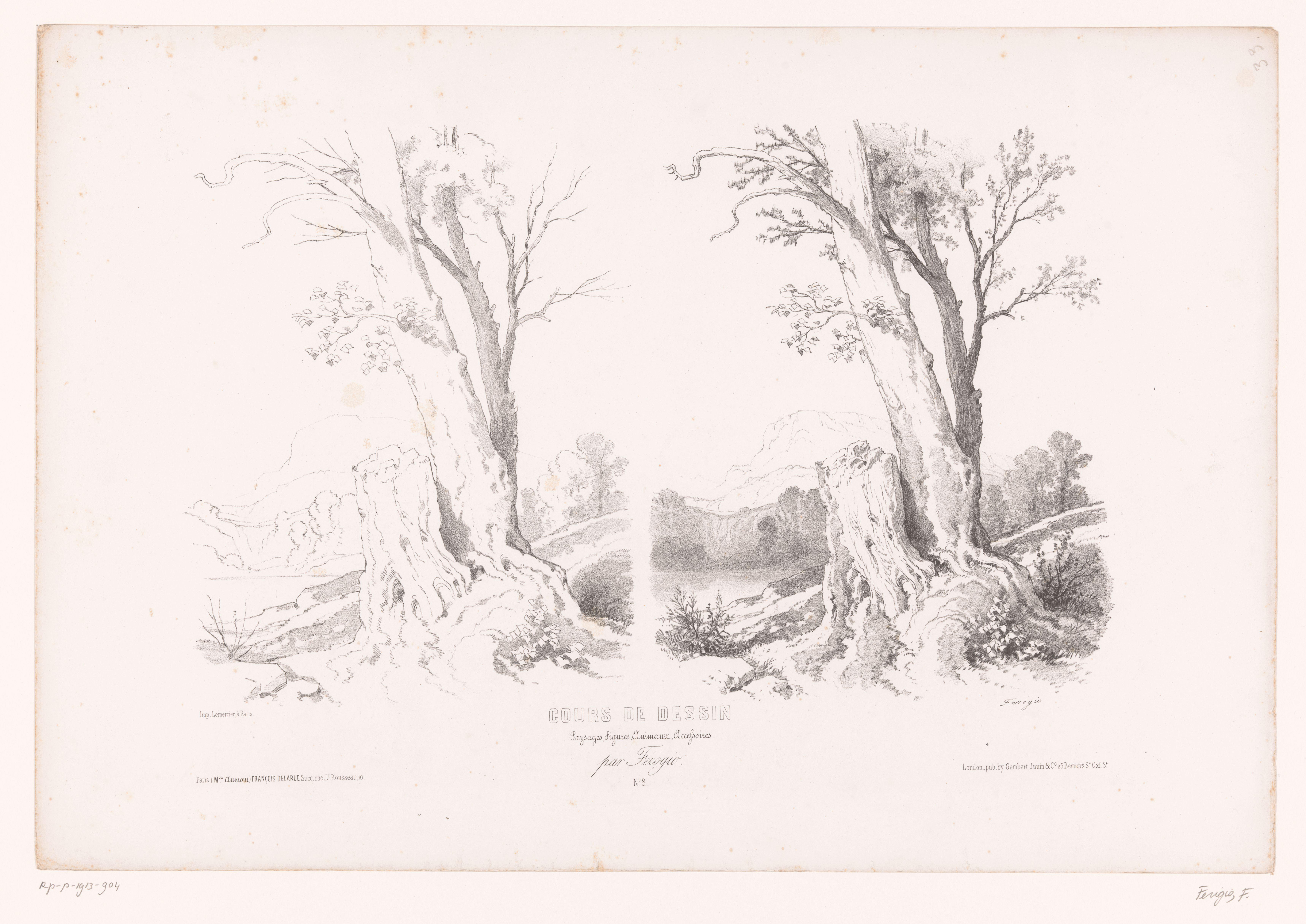 Berglandschap met bomen en meer
