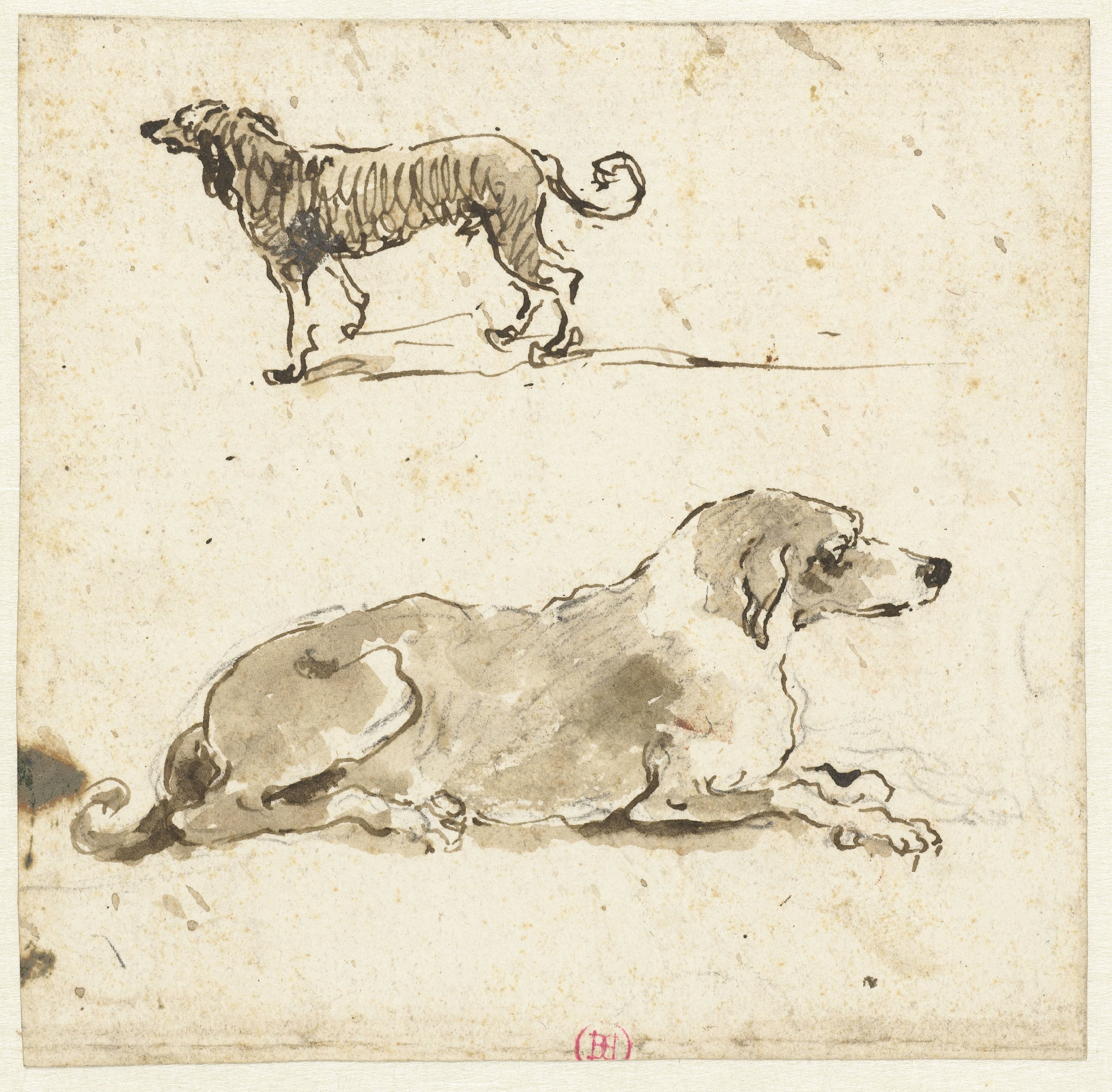 Liggende en een lopende hond