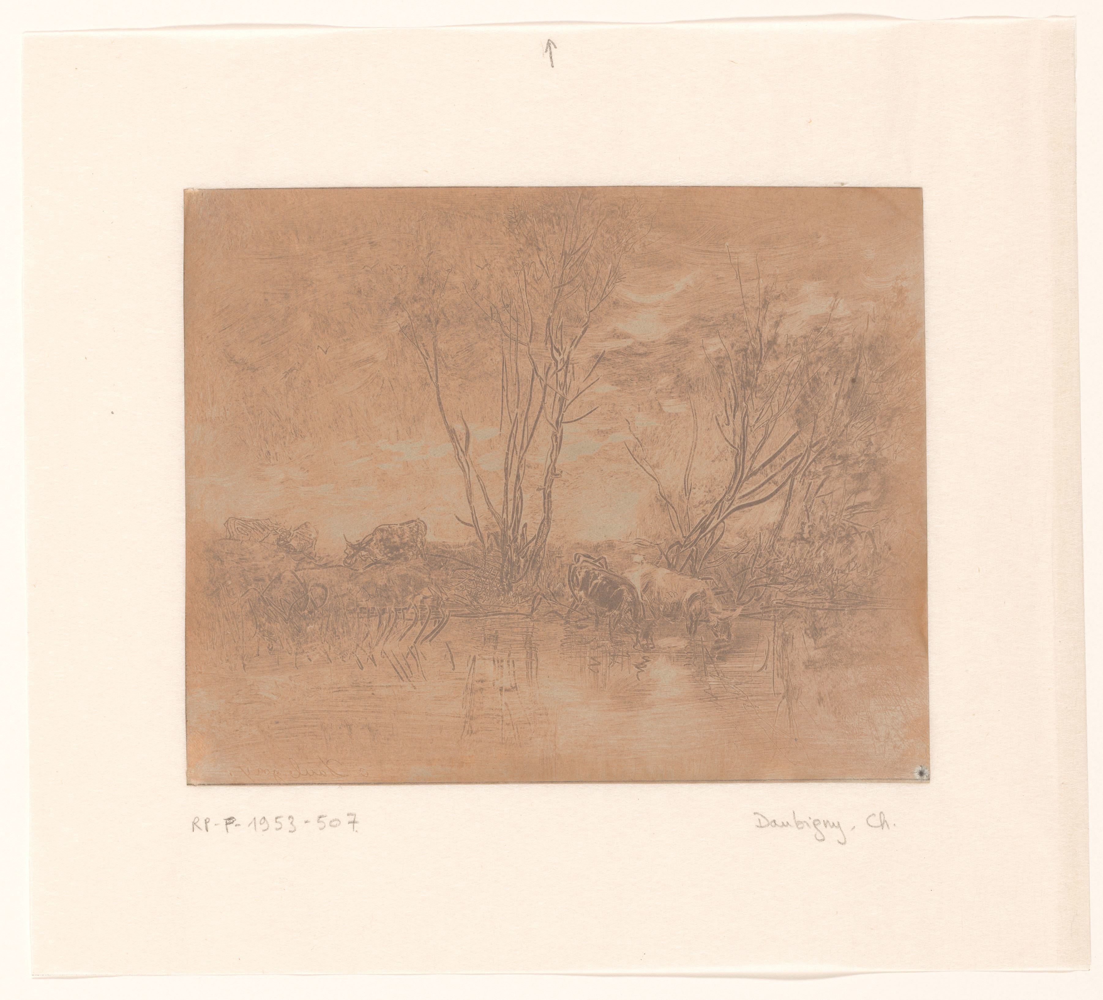 Landschap met drinkende koeien