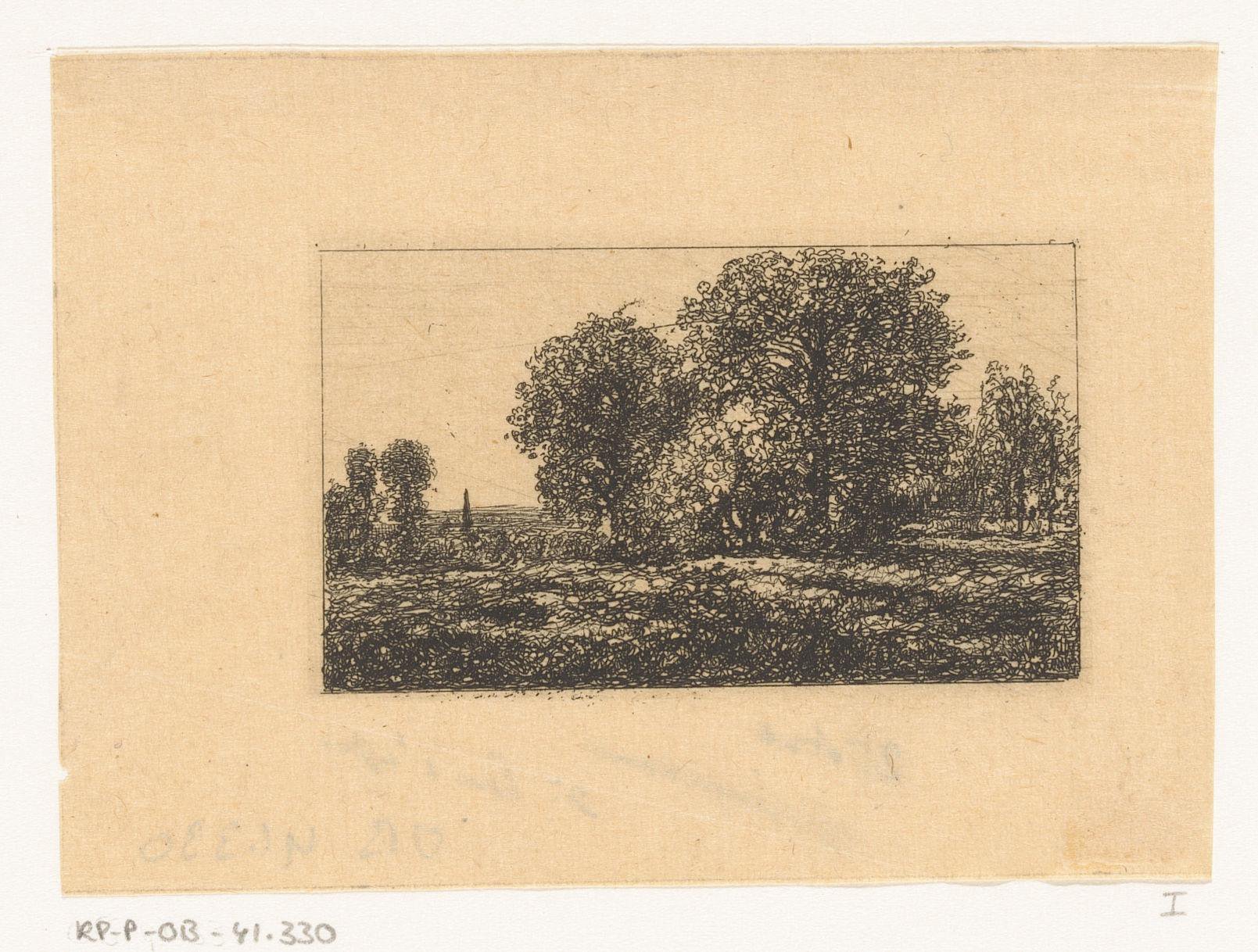 Bomen in een landschap