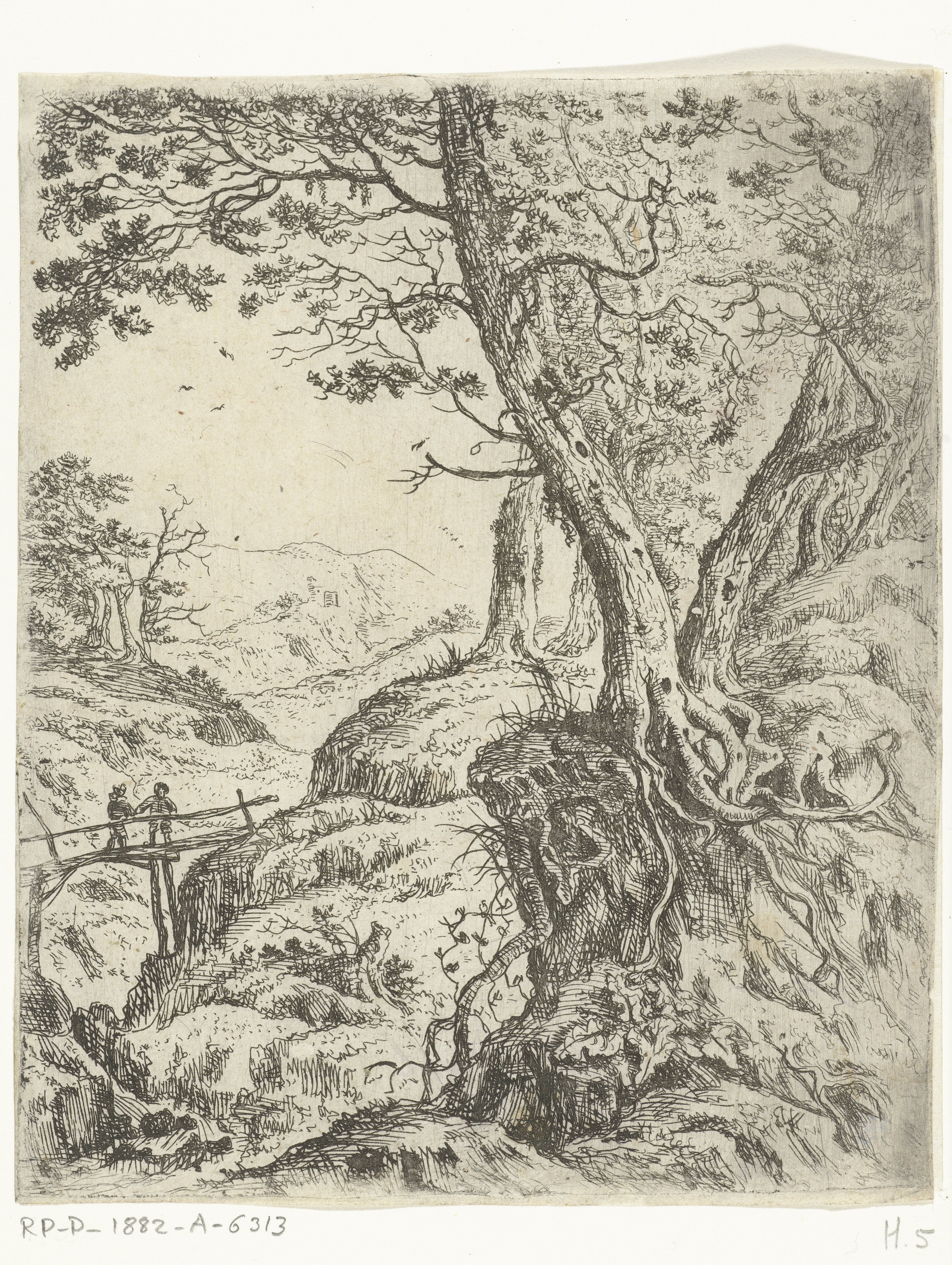 Landschap met houten bruggetje