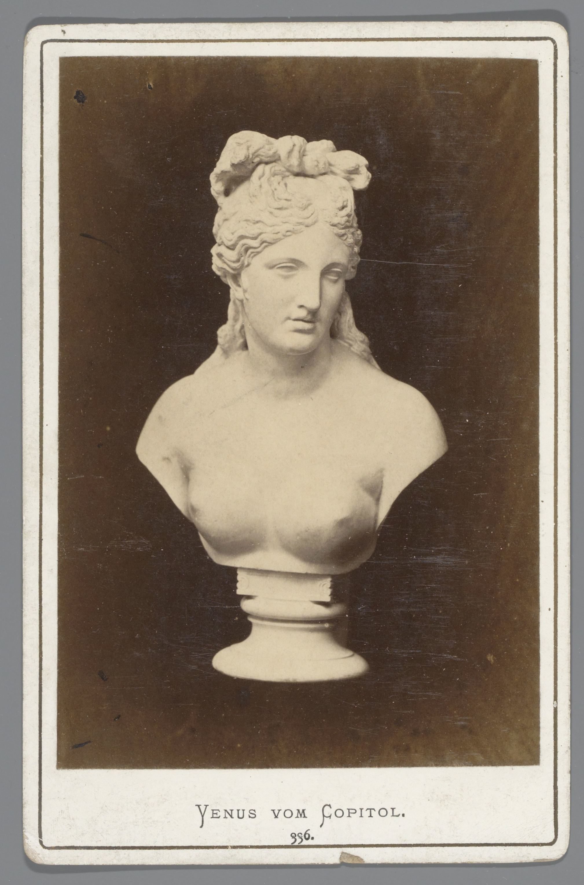 Sculptuur van de Capitolijnse Venus