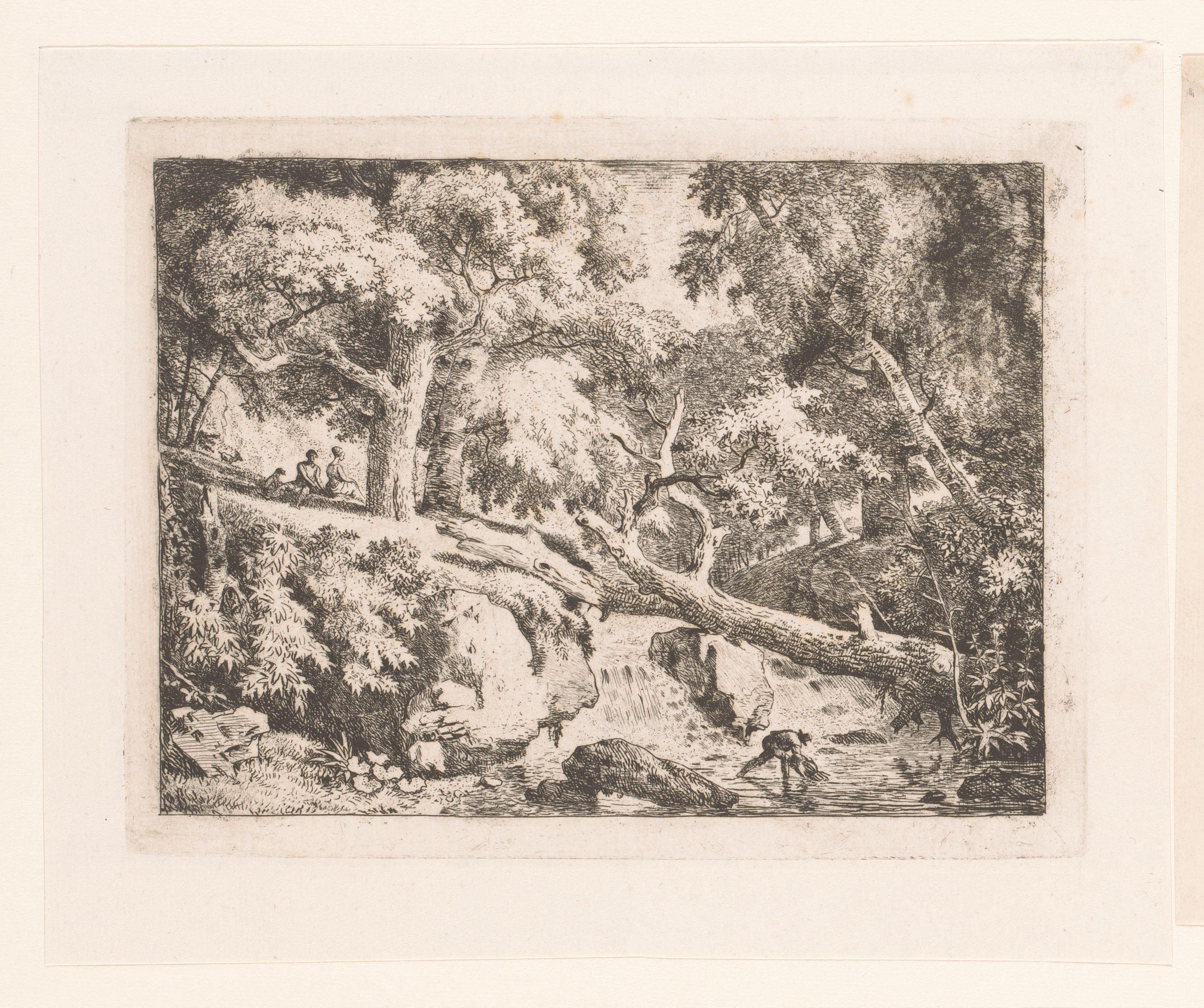 Landschap met boomstam over een waterval