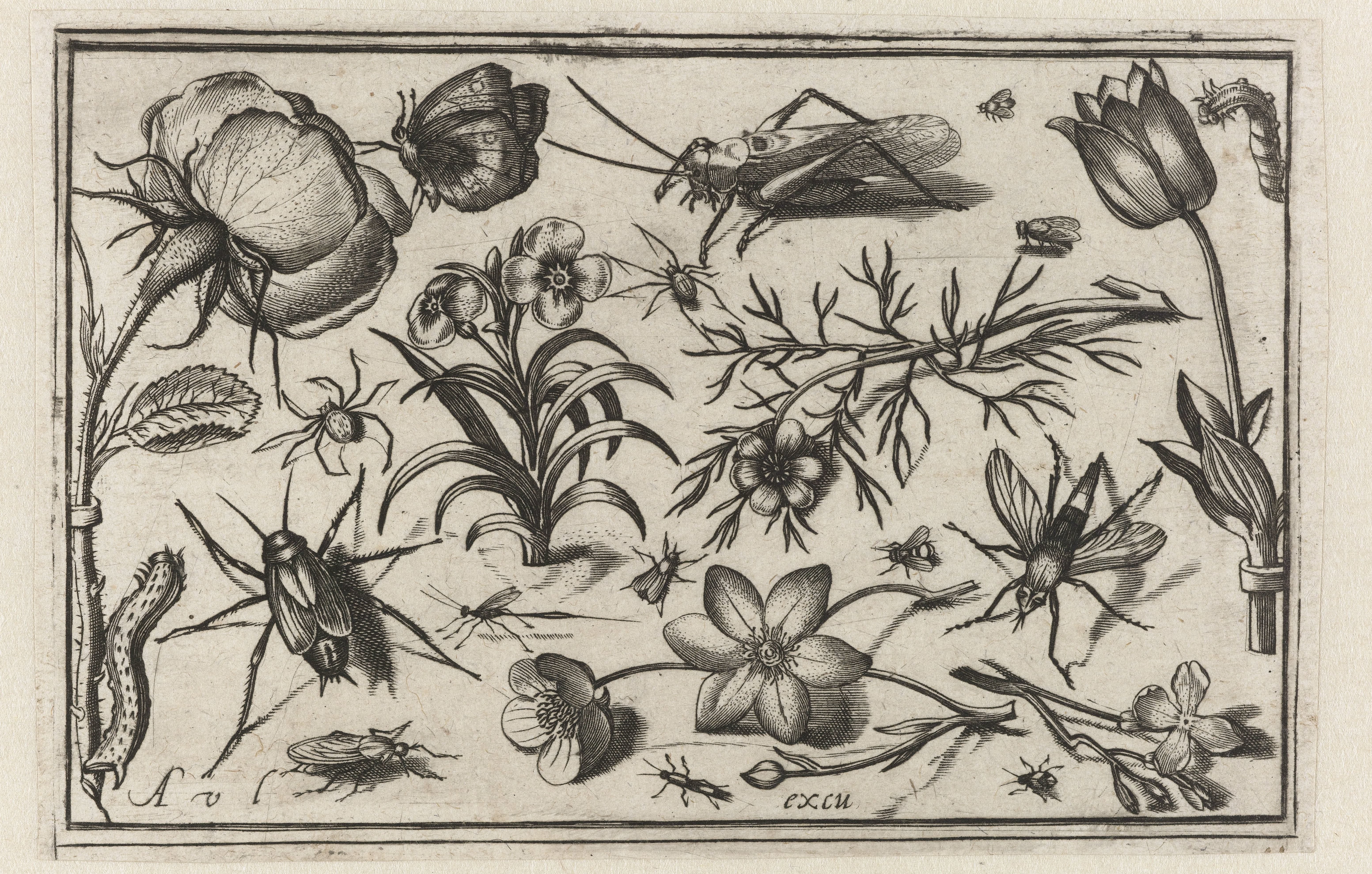 Bloemen en insecten