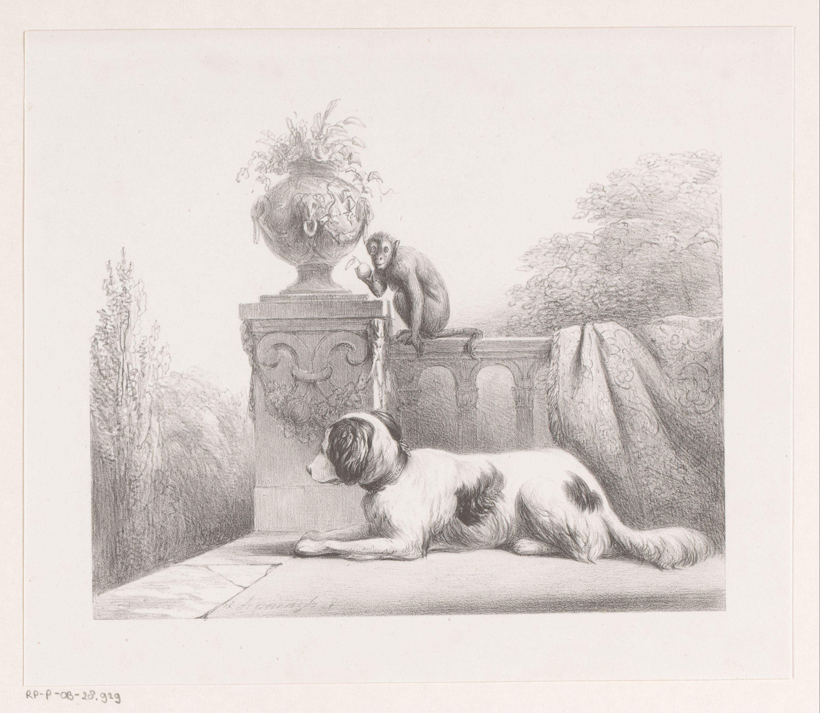 Hond en aap op terras