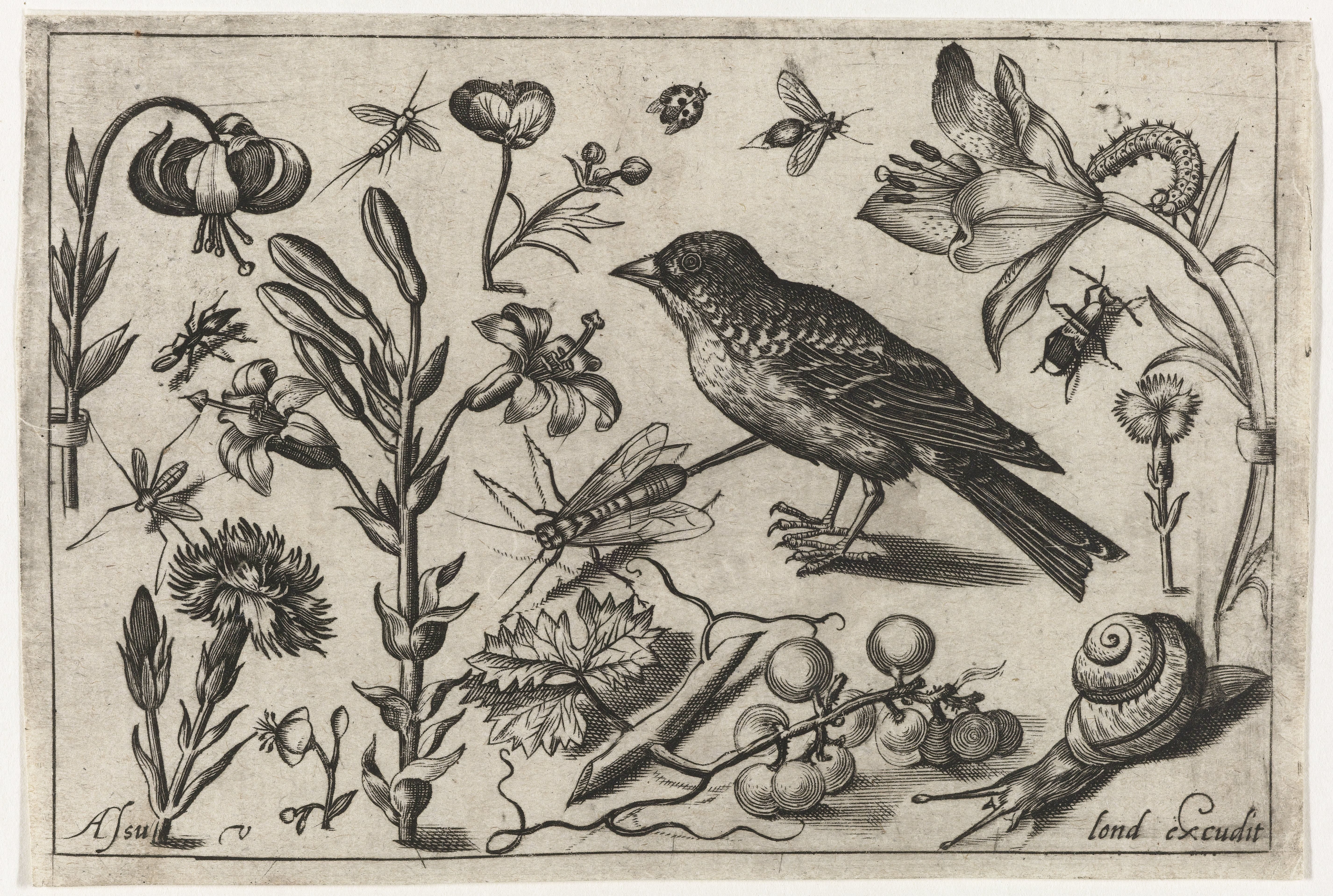 Bloemen, een slak en een vogel