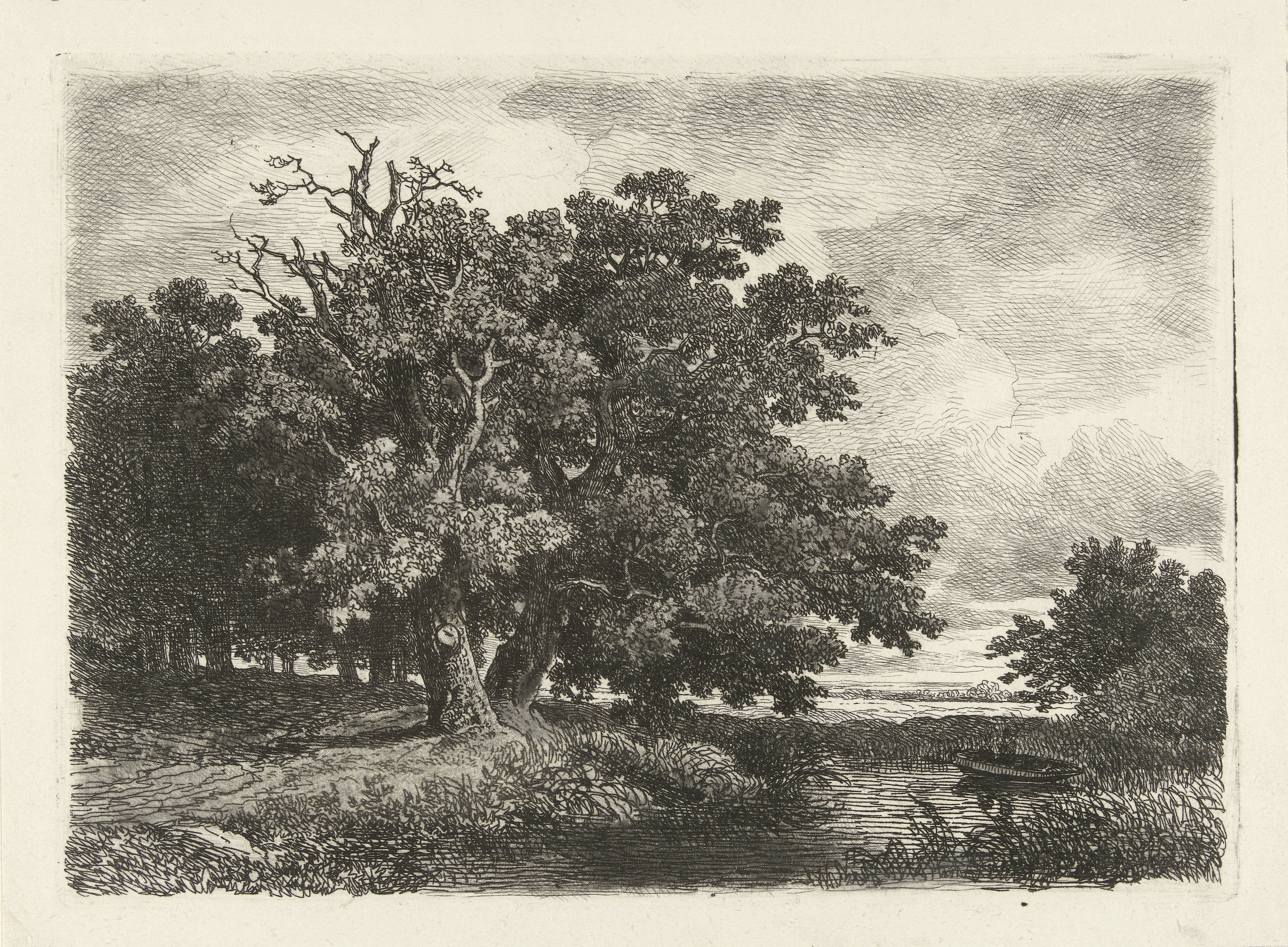 Bomen aan een plas met een bootje