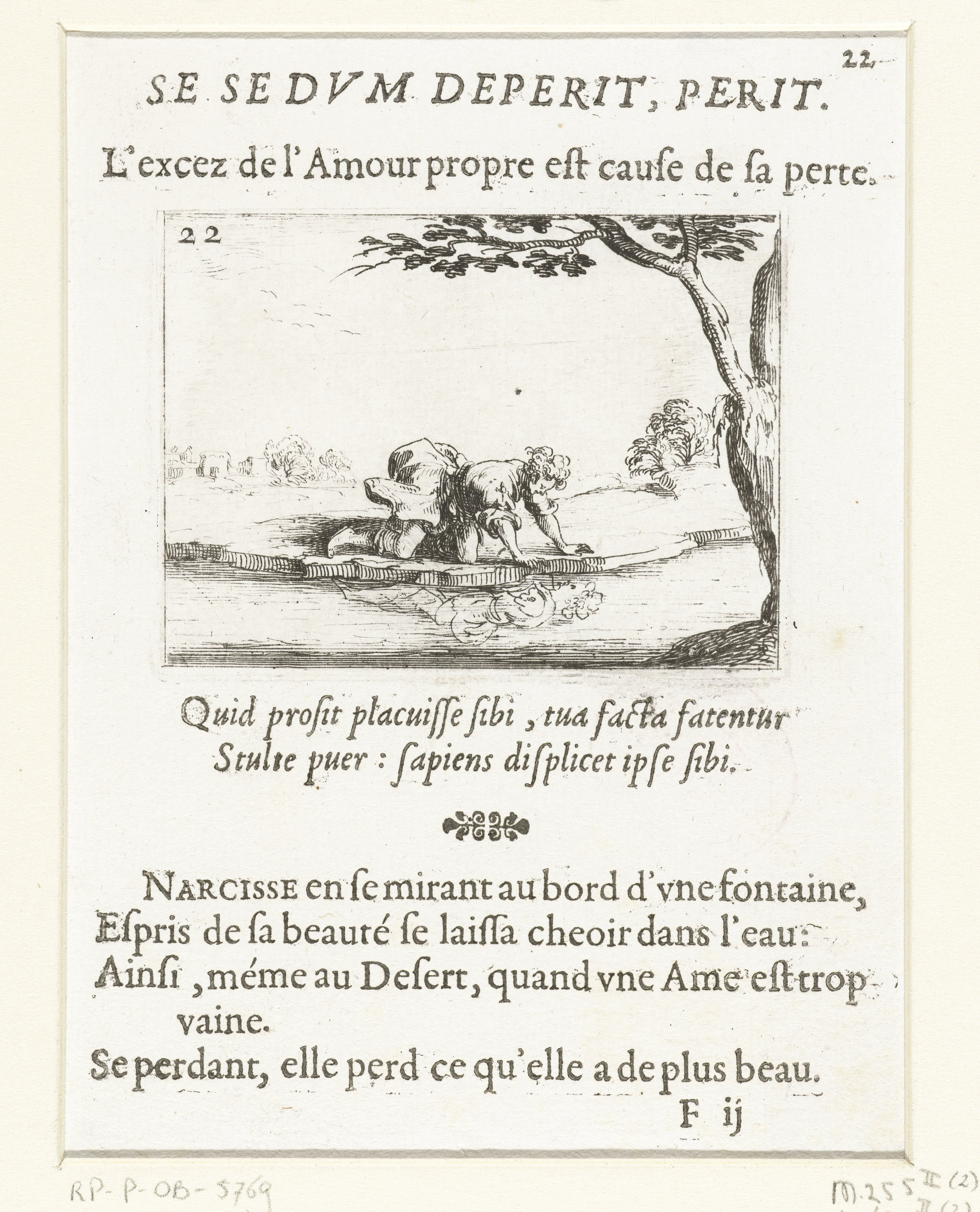 Narcissus