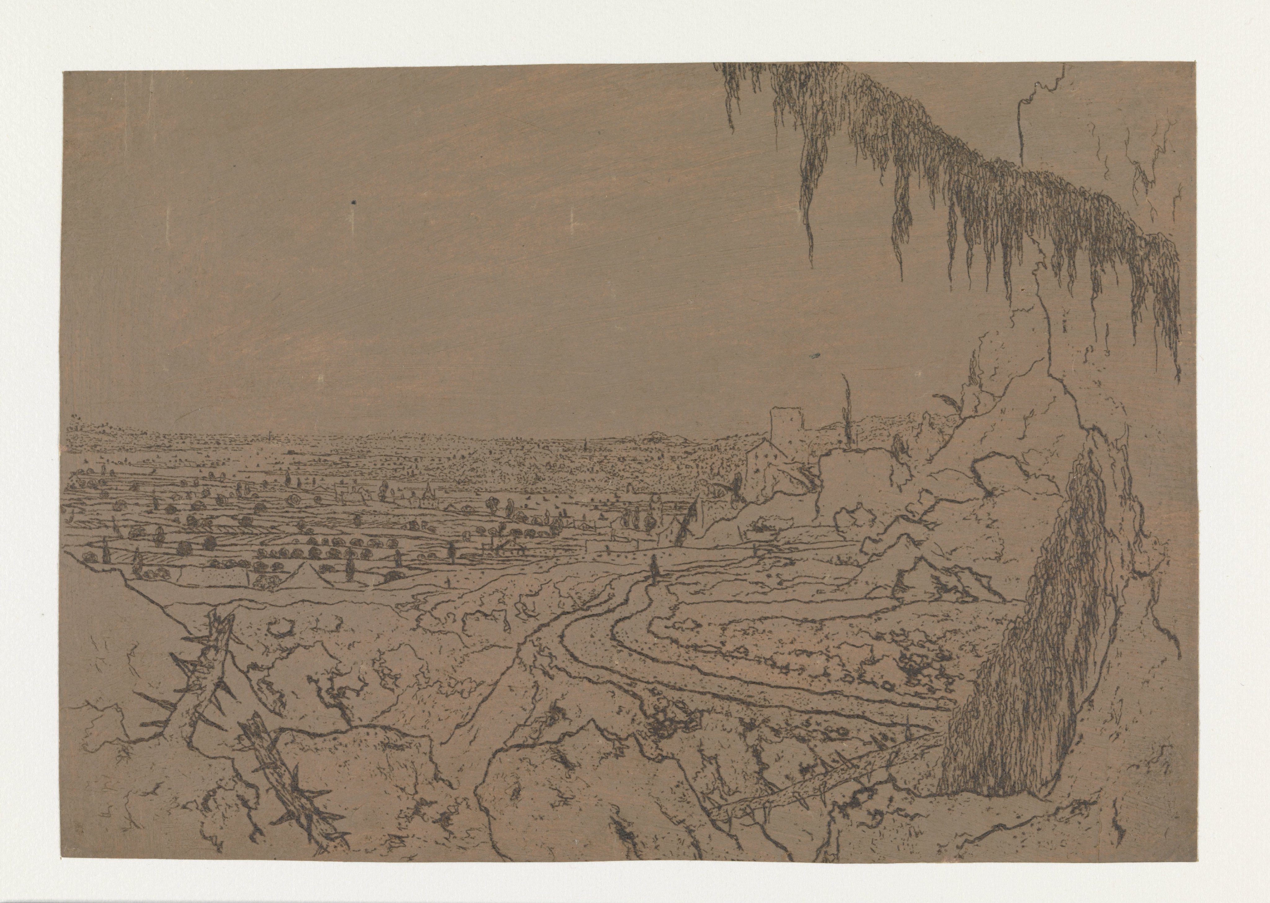 Distant View with a Road and Mossy Branches