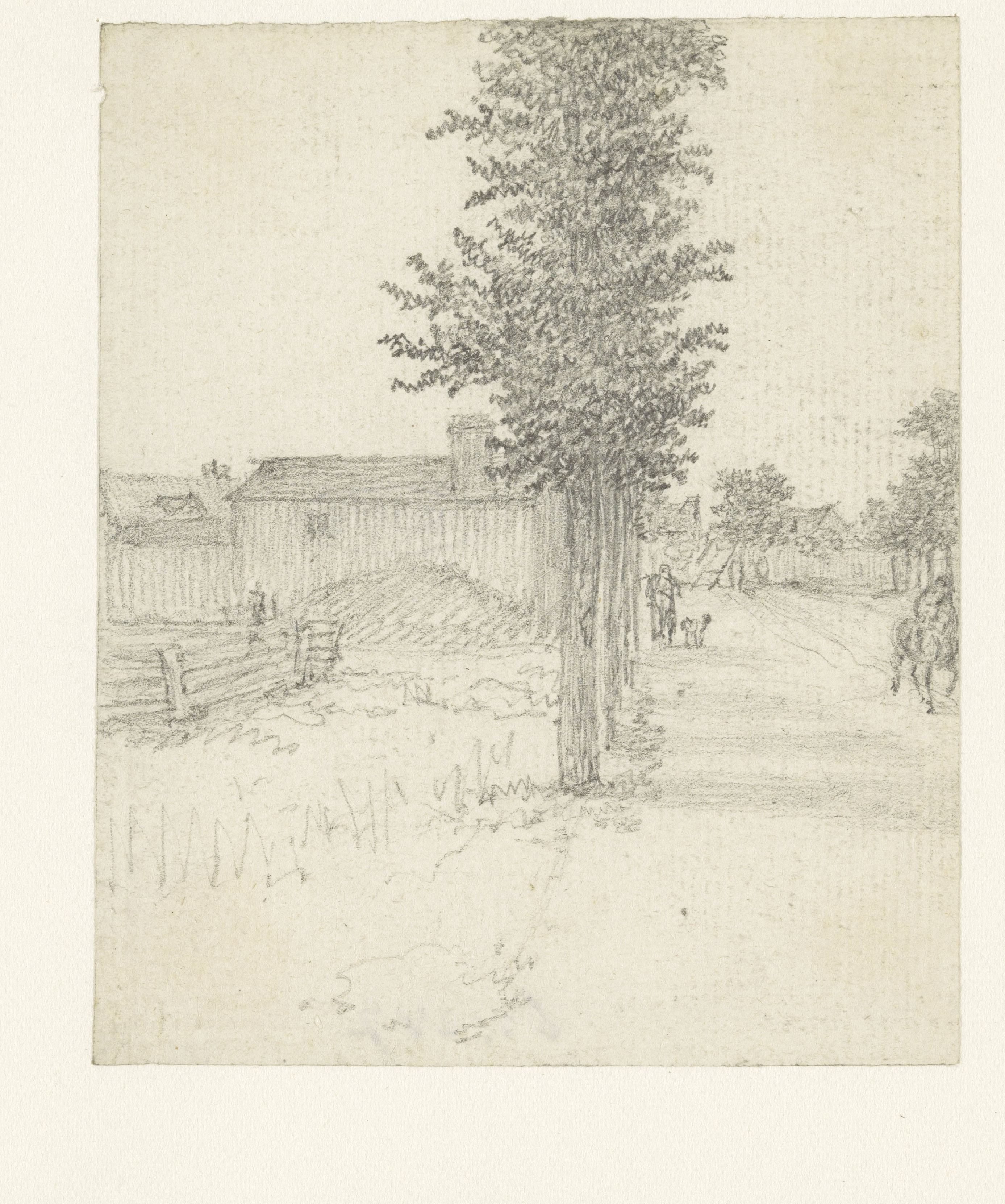 Landwegje met bomen links en enige huizen aan dezelfde kant