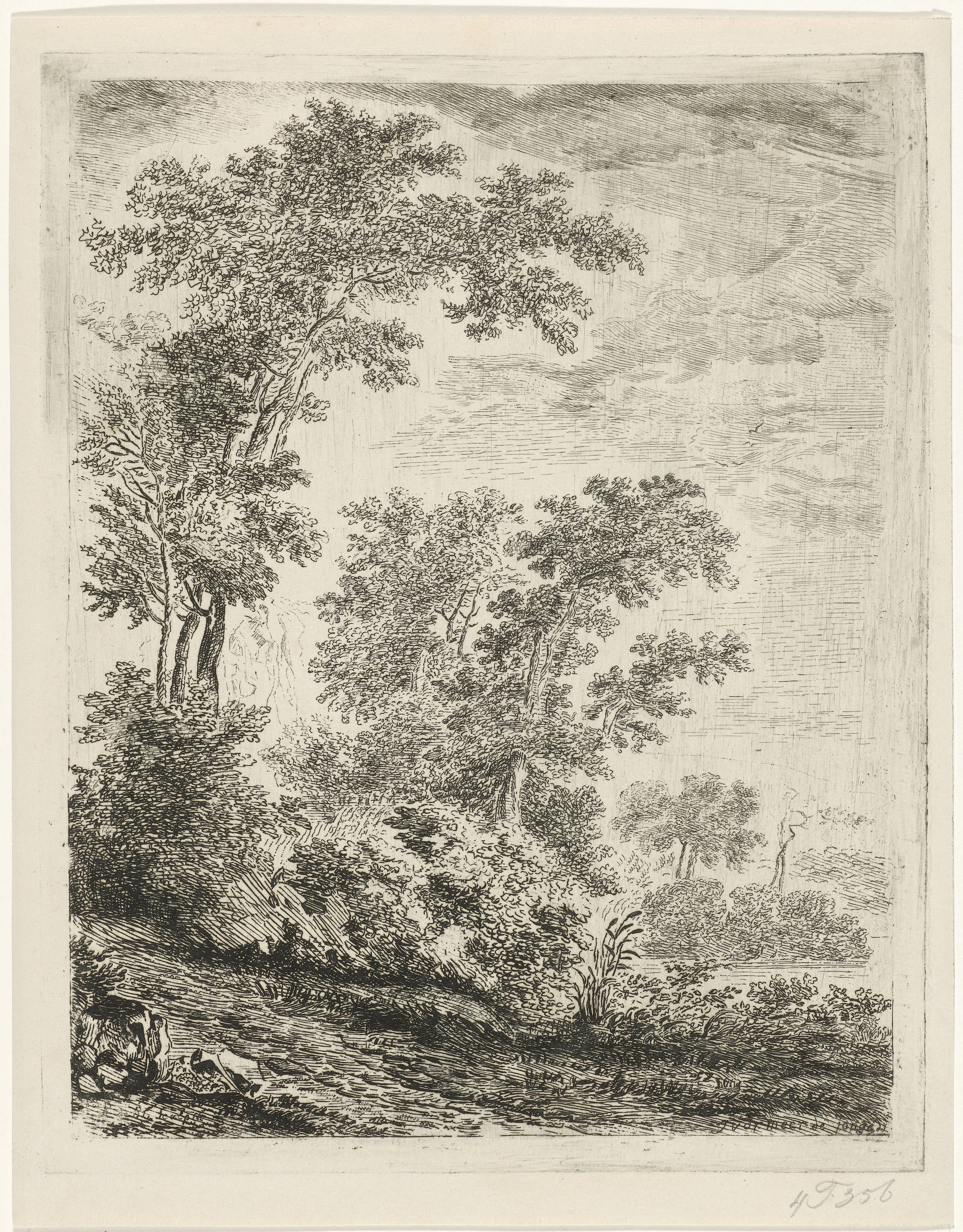 Landschap met hoge bomen