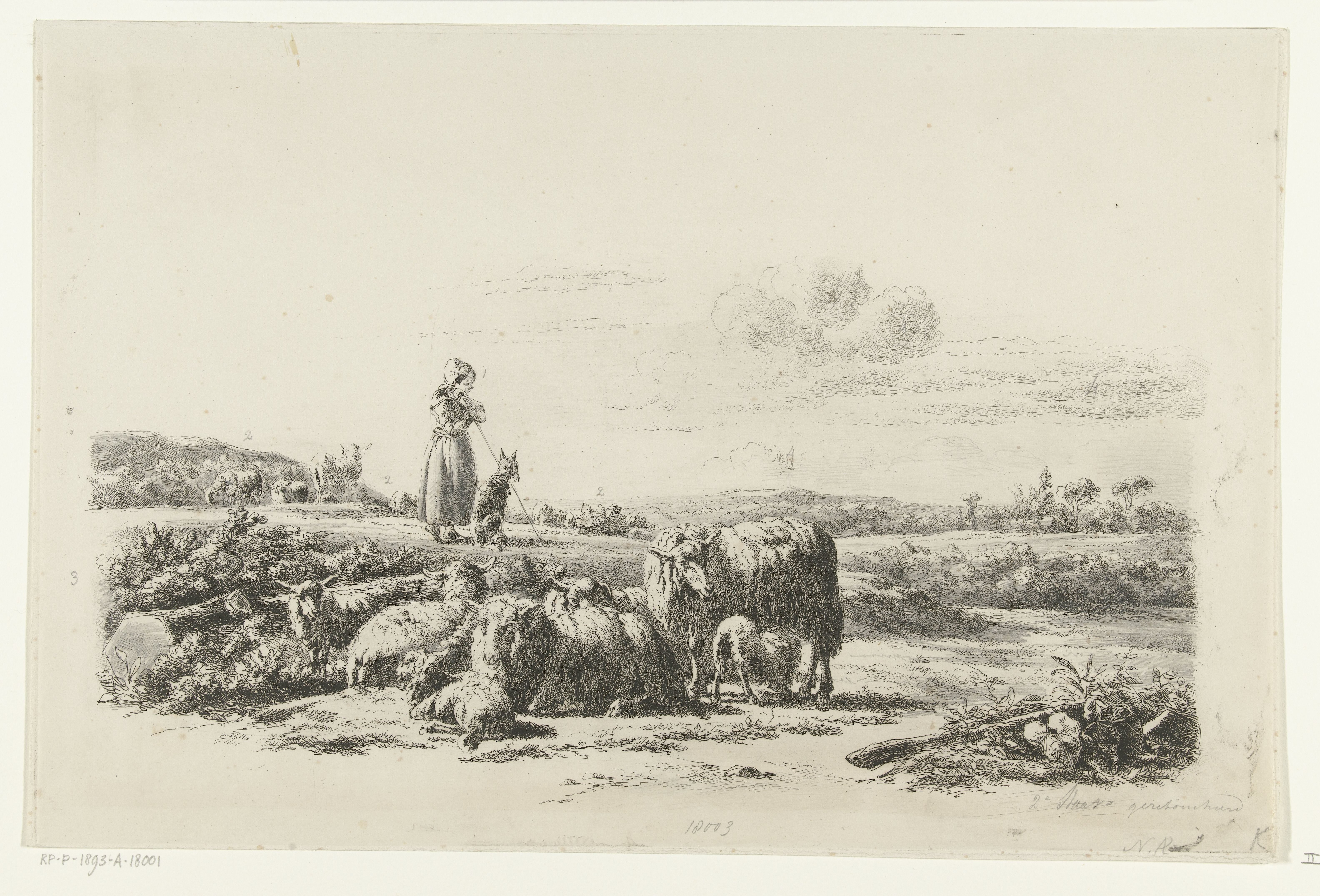 Landschap met herderin en hond bij kudde schapen