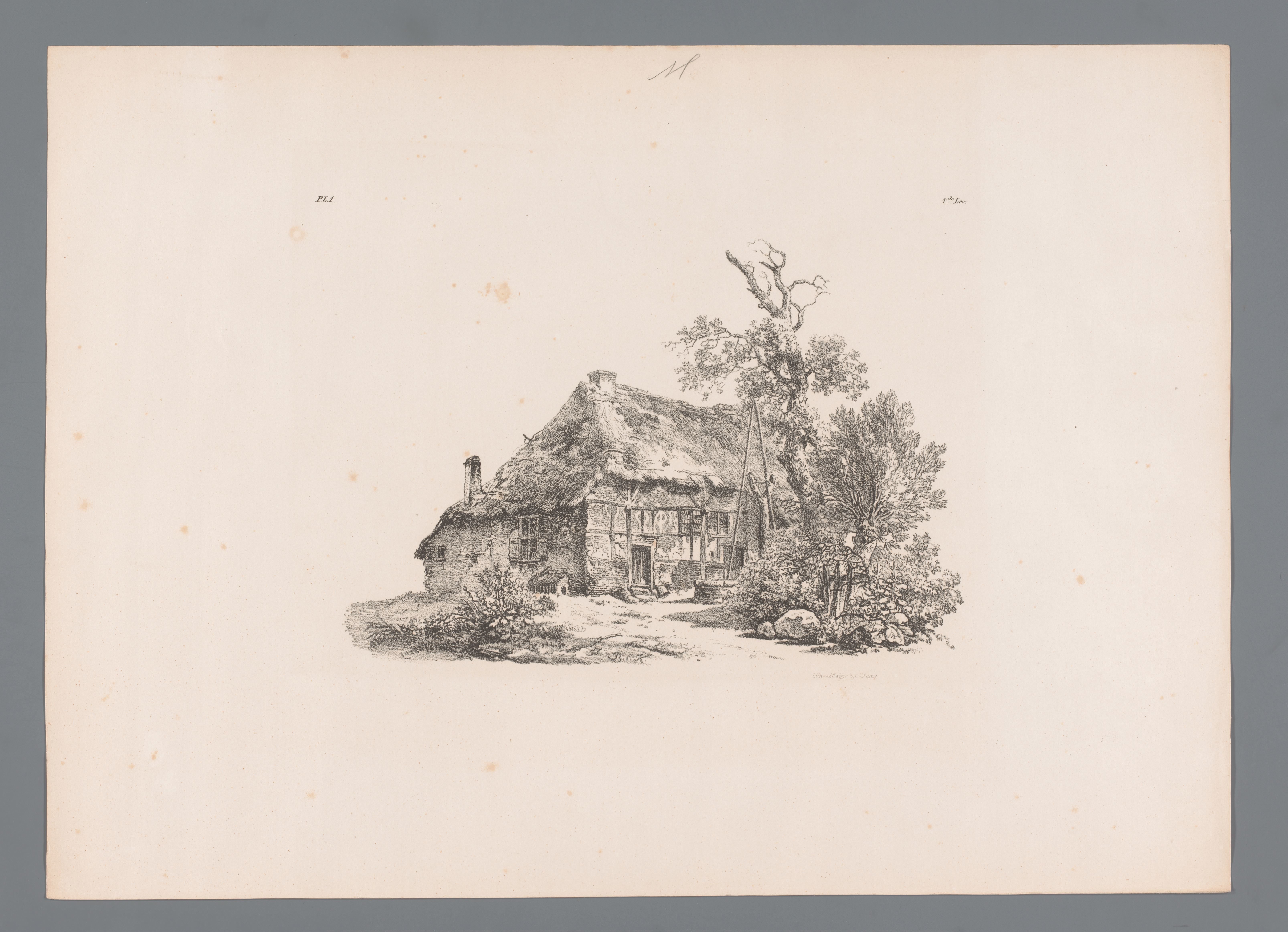 Boerenhoeve