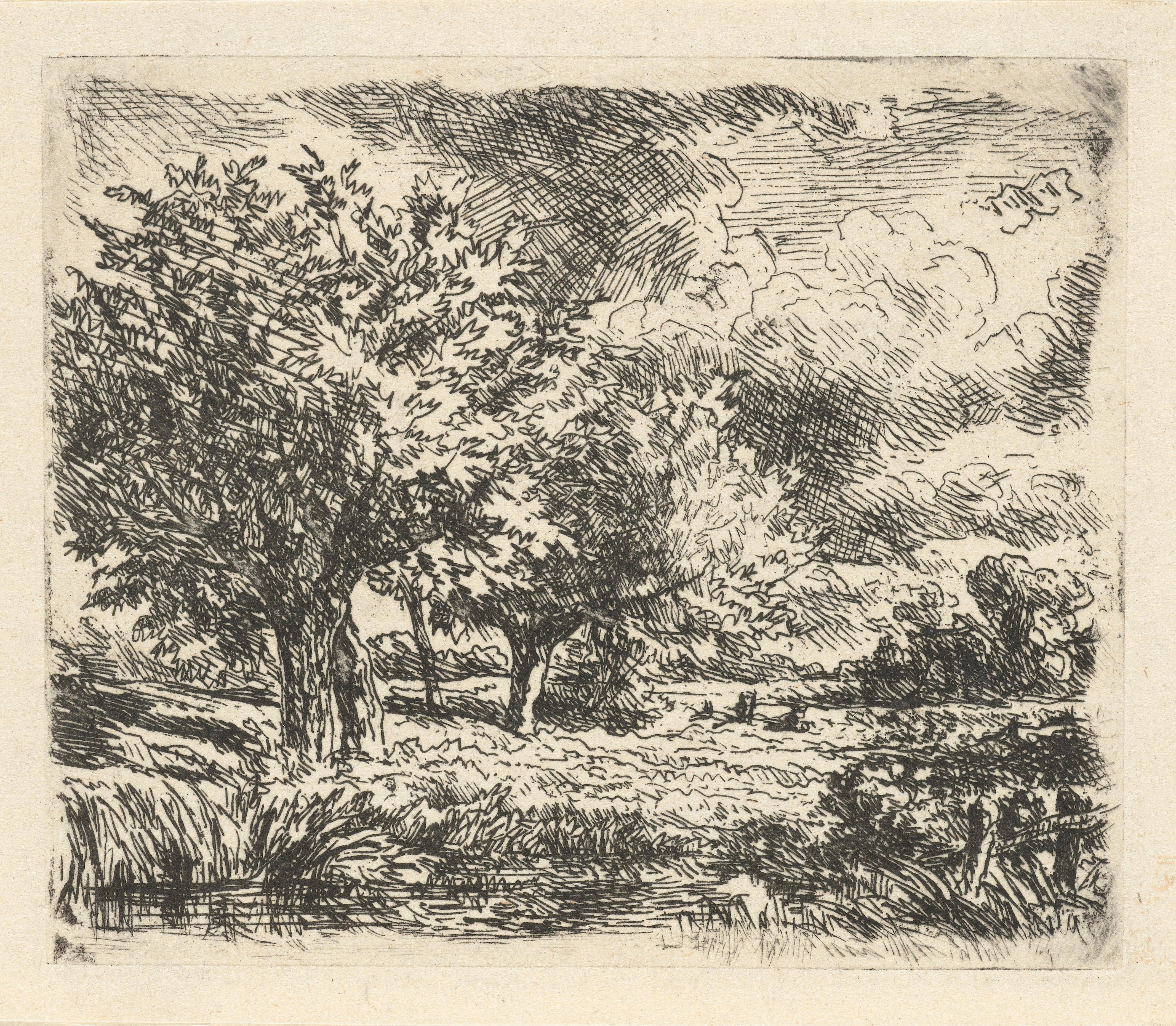 Landschap met wilgen