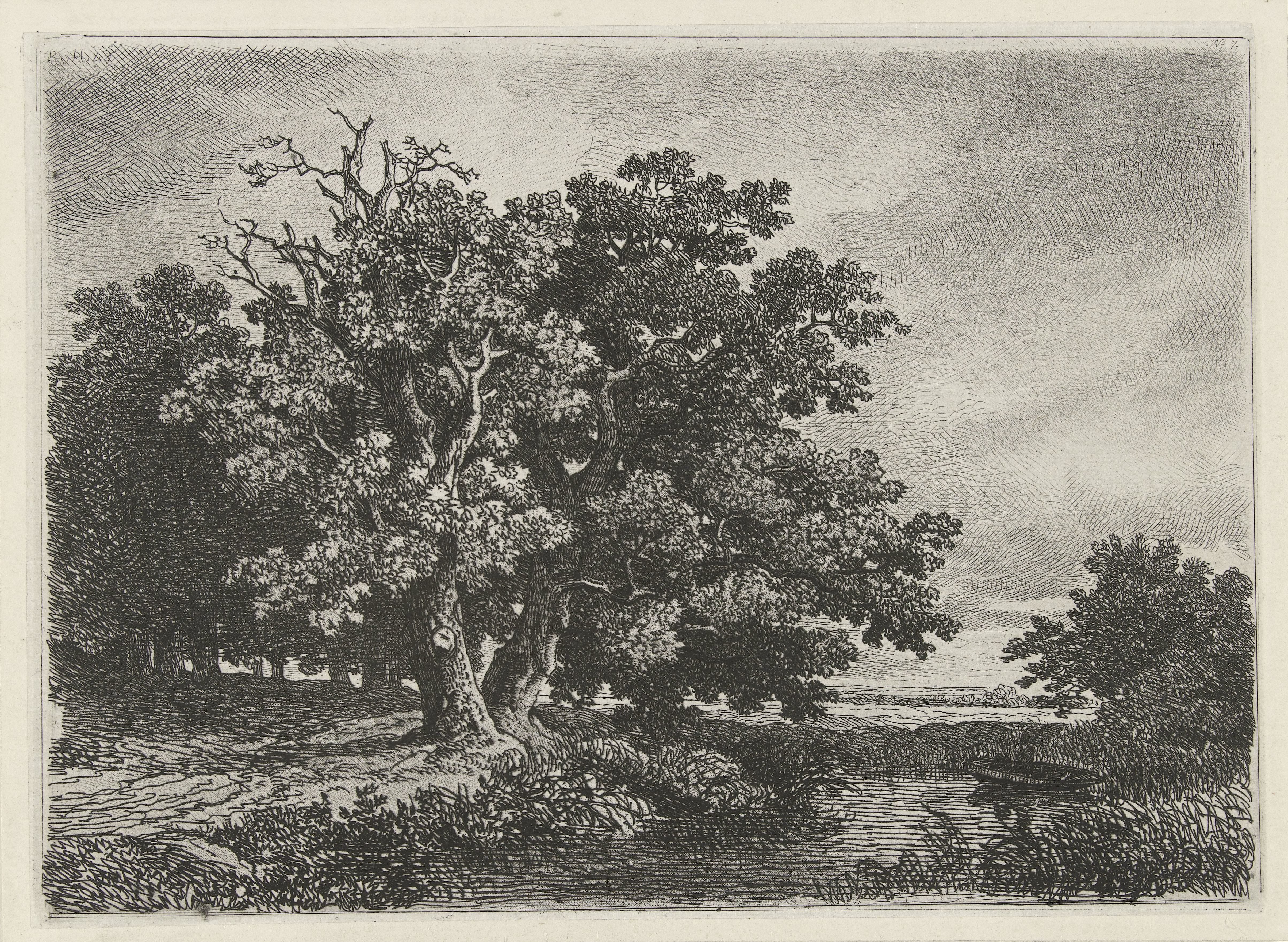 Bomen aan een plas met een bootje