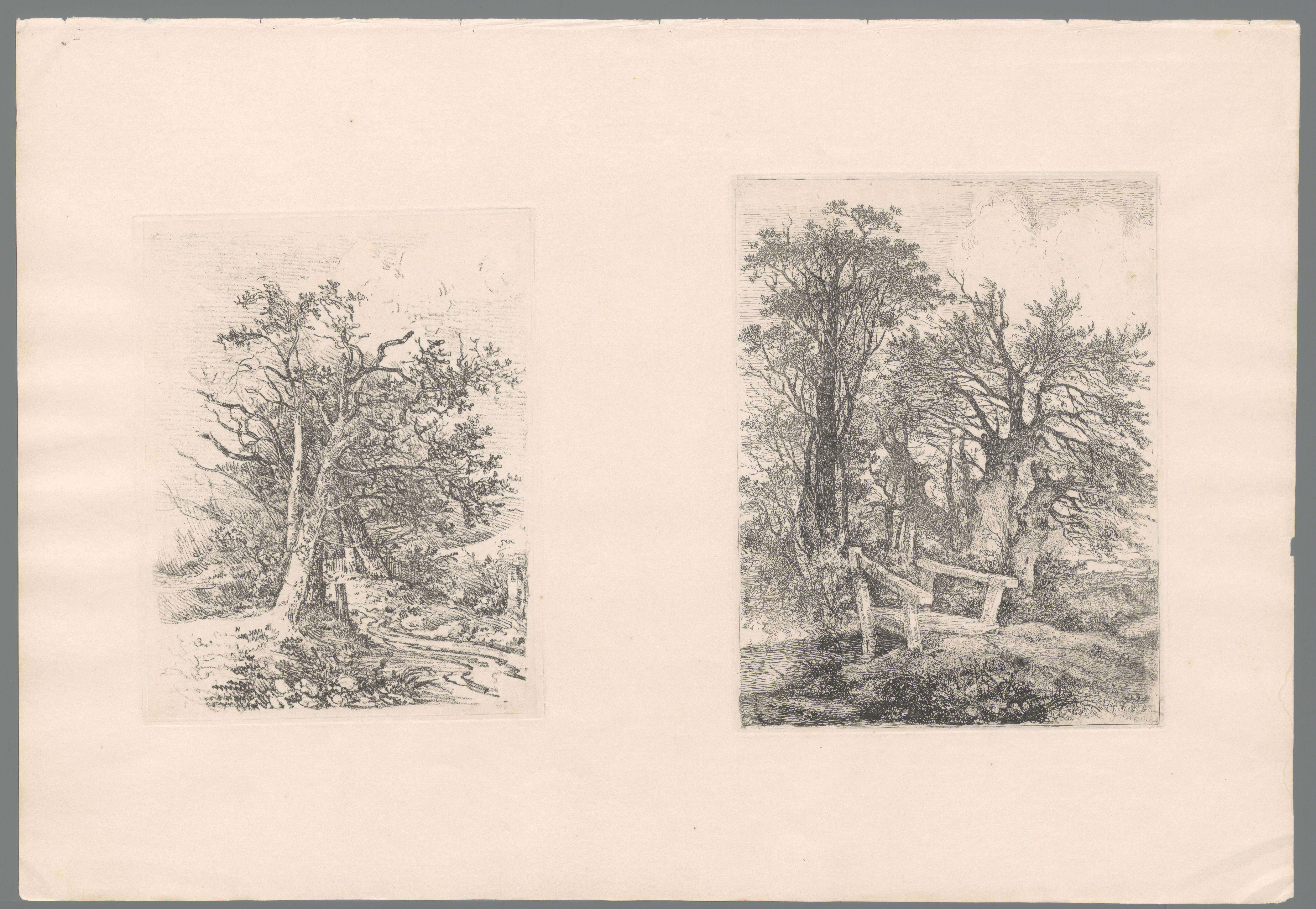Drie bomen bij een kleine poel