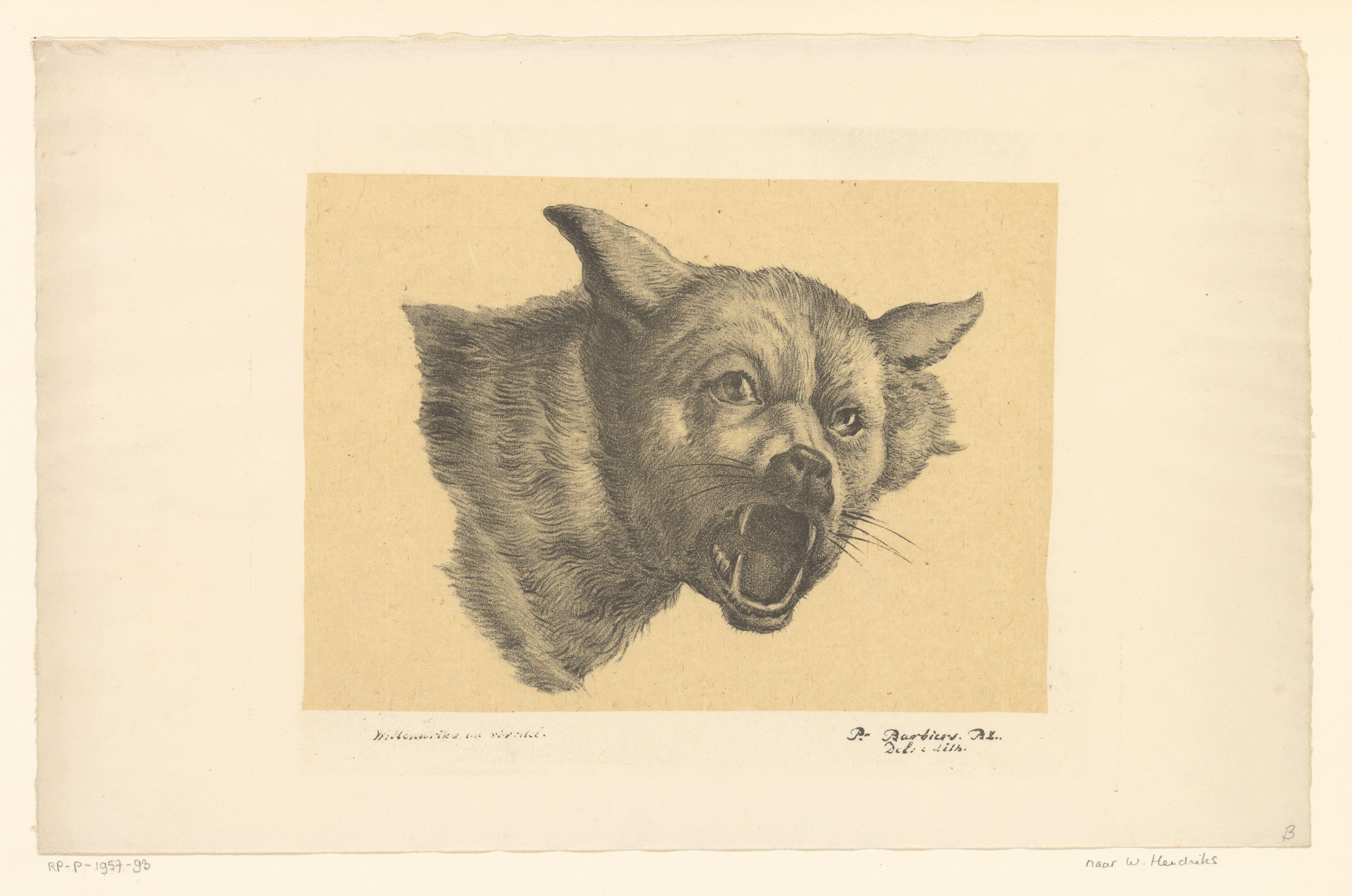 Kop van een wolf of hond