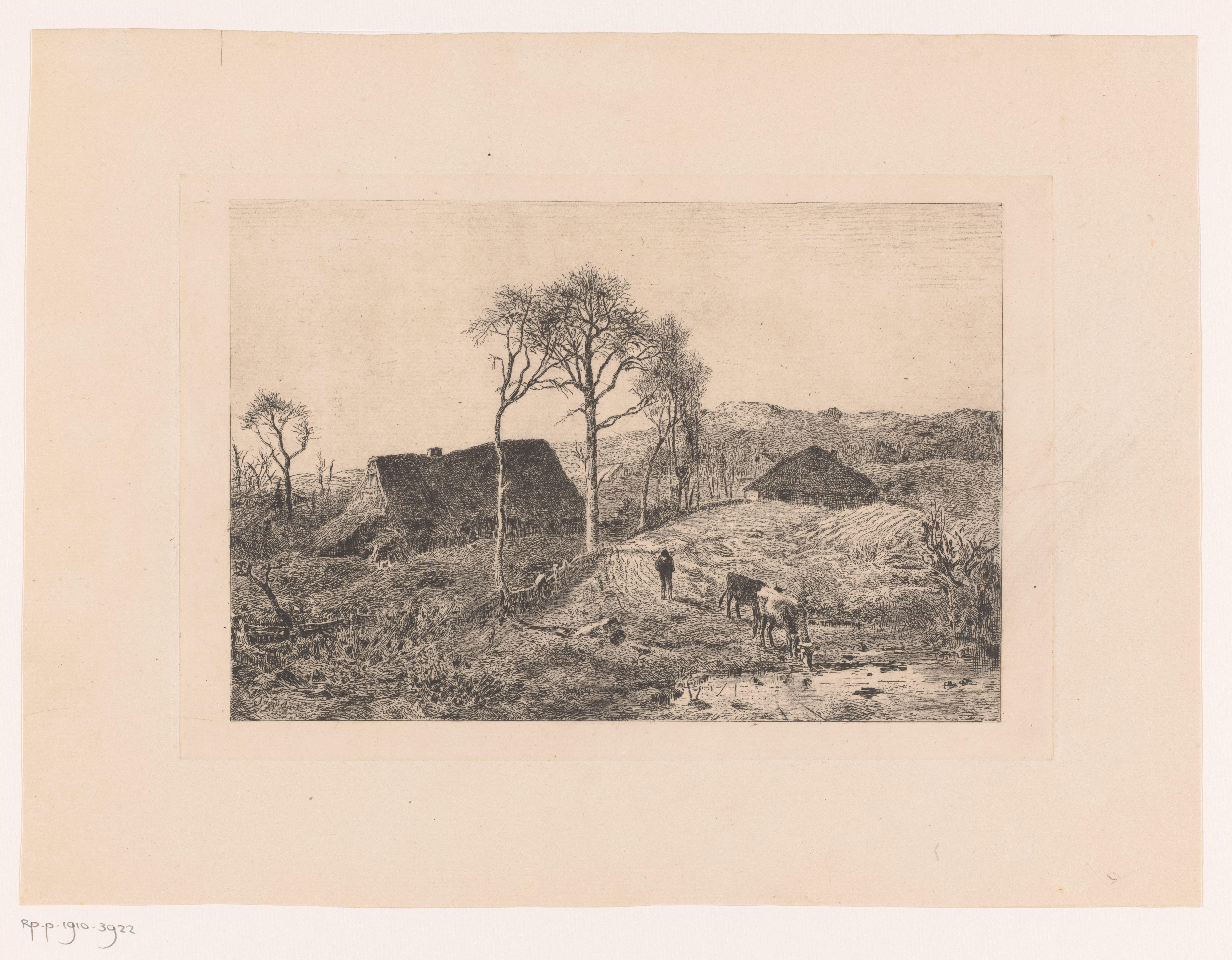 Drinkende koe in landschap met twee boerderijen
