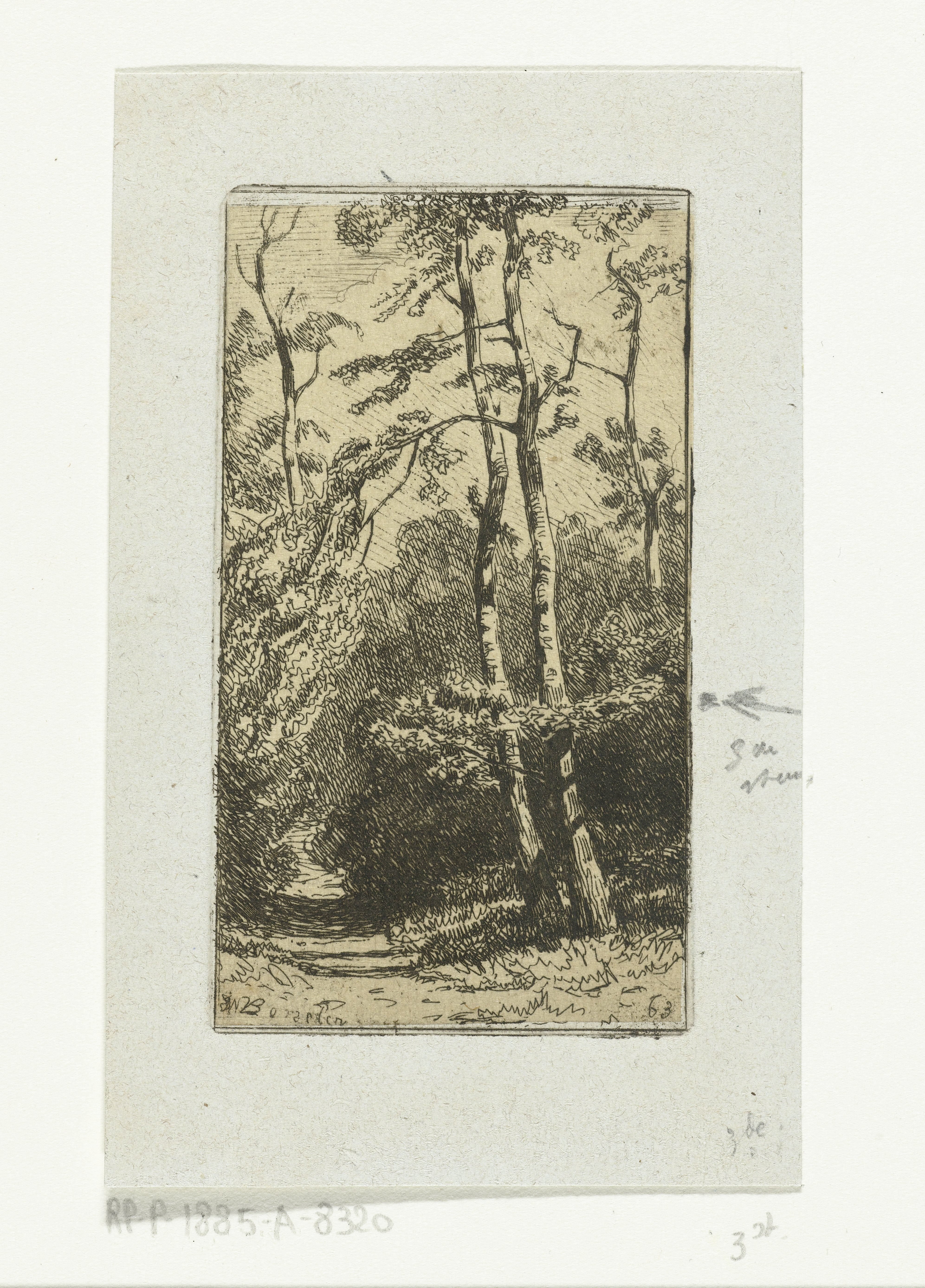 Landschap met berken