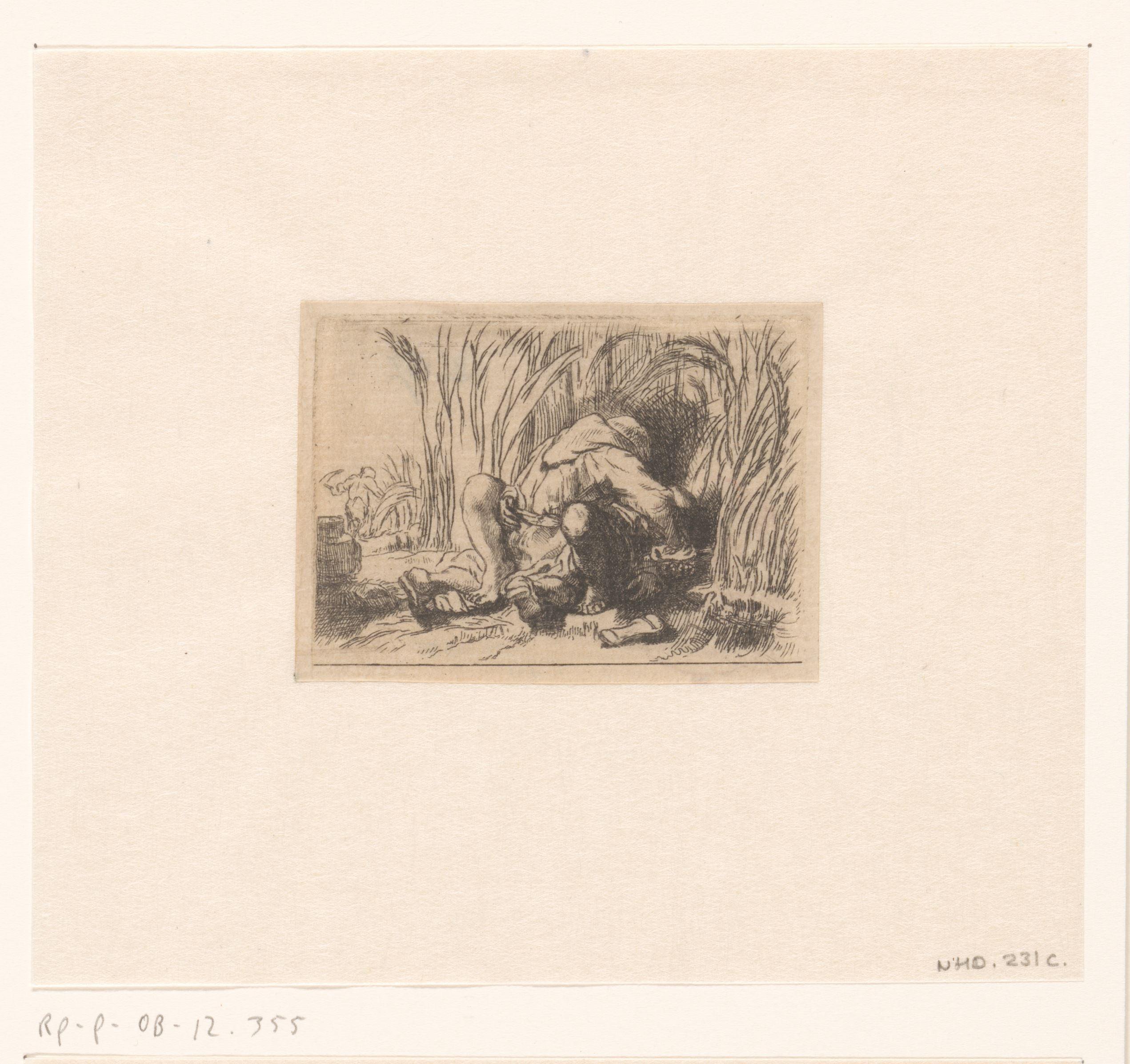 The monk in the cornfield