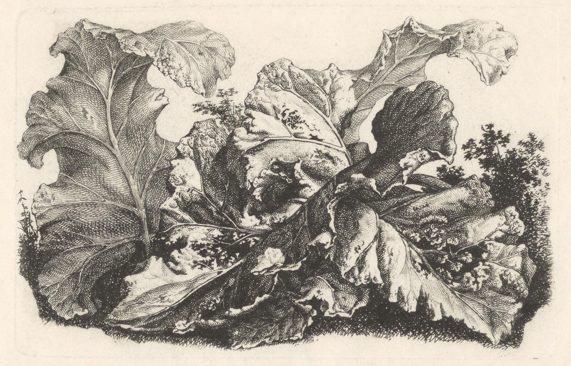 Carl Wilhelm Kolbe (I)