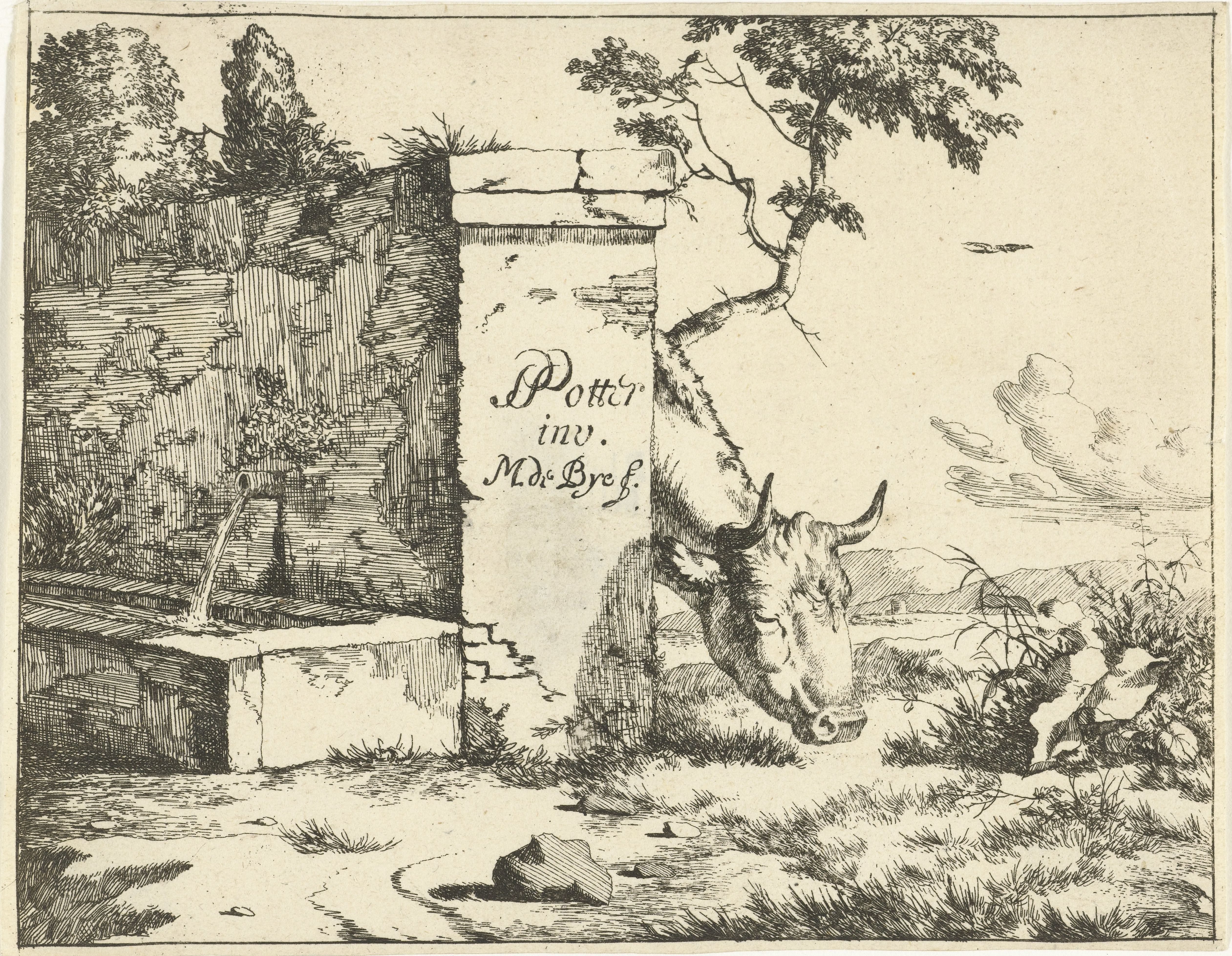 Grazend rund achter muur