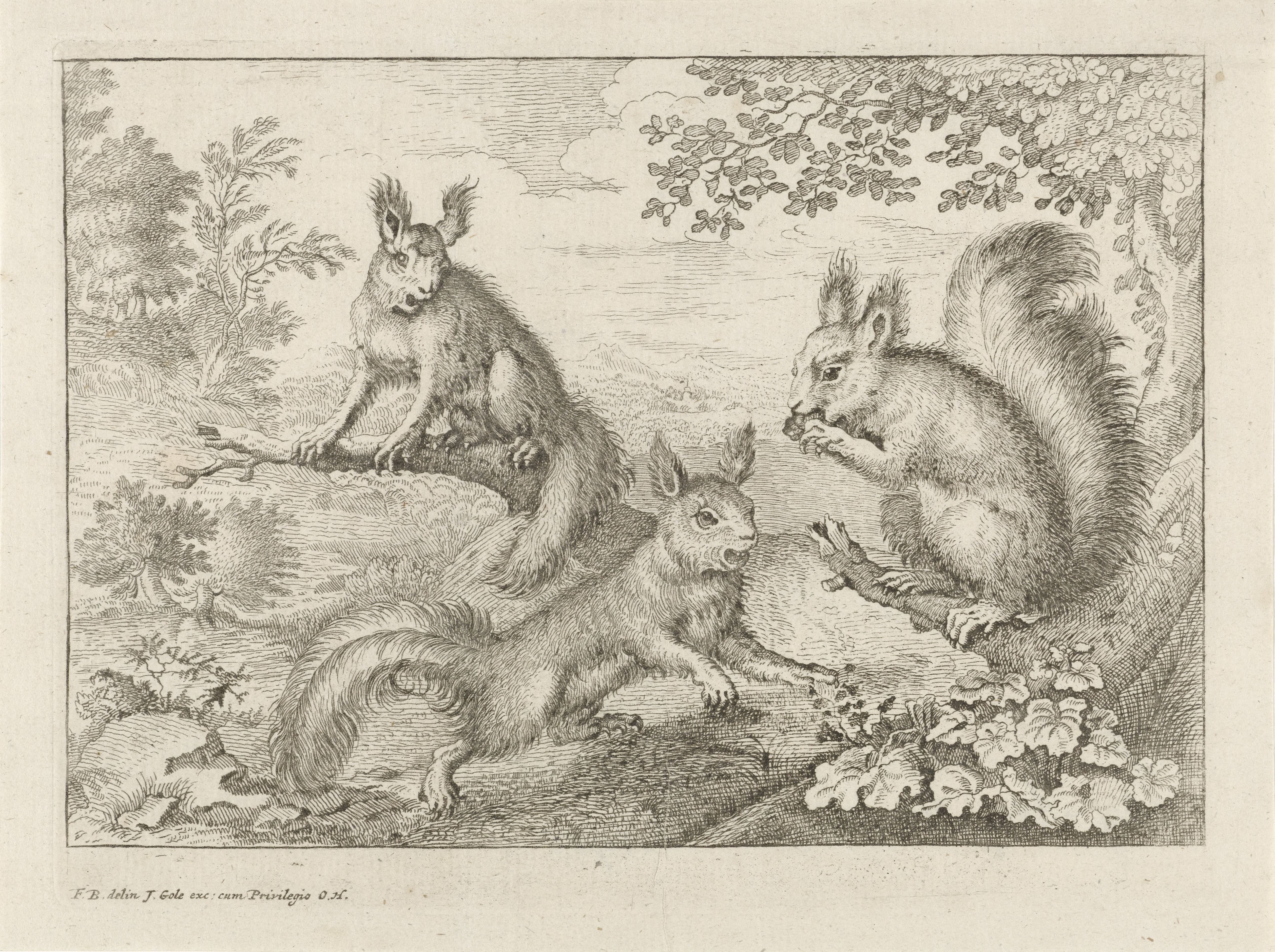 Drie eekhoorns in een landschap