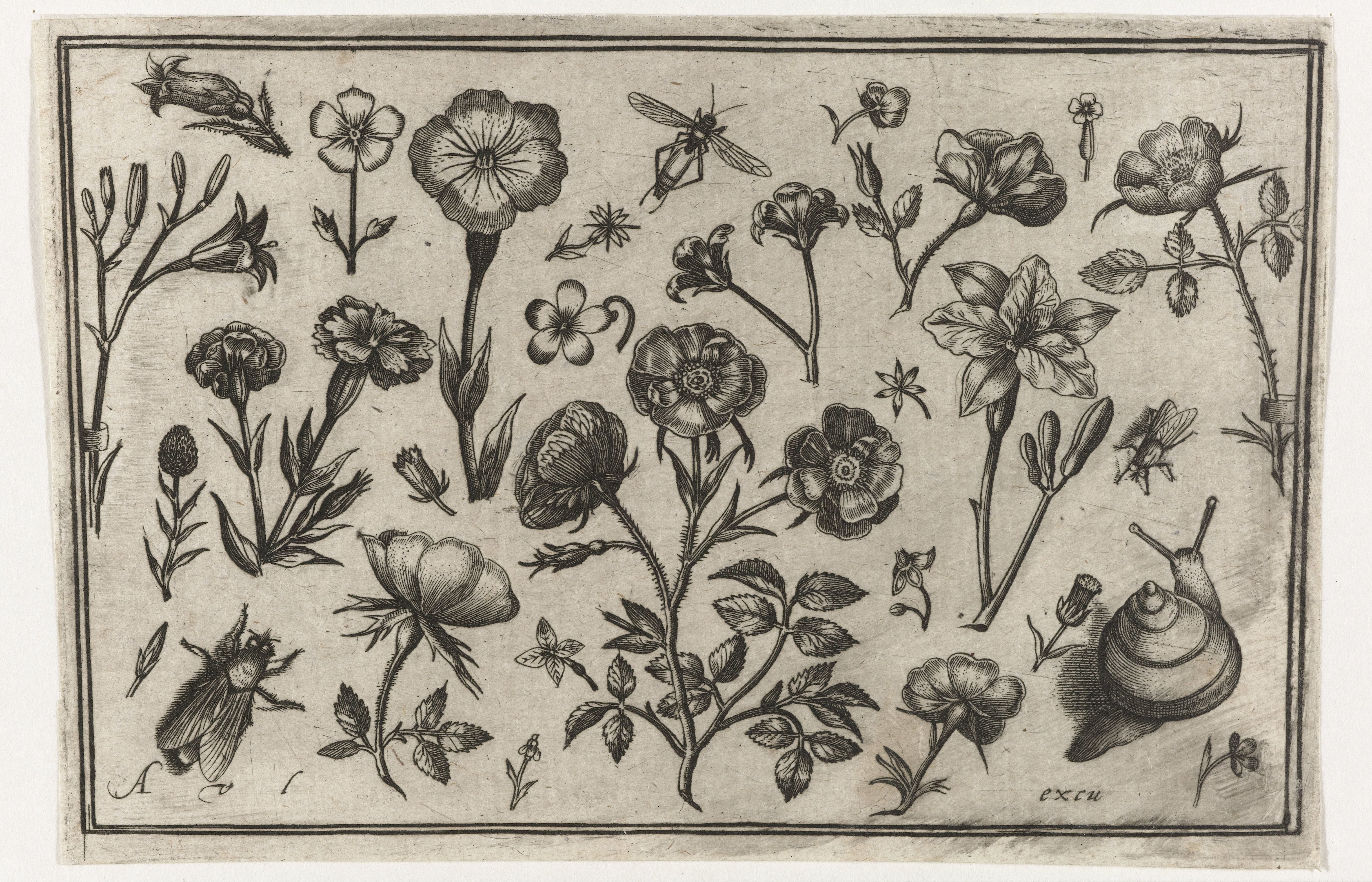 Bloemen, een vlieg en een slak
