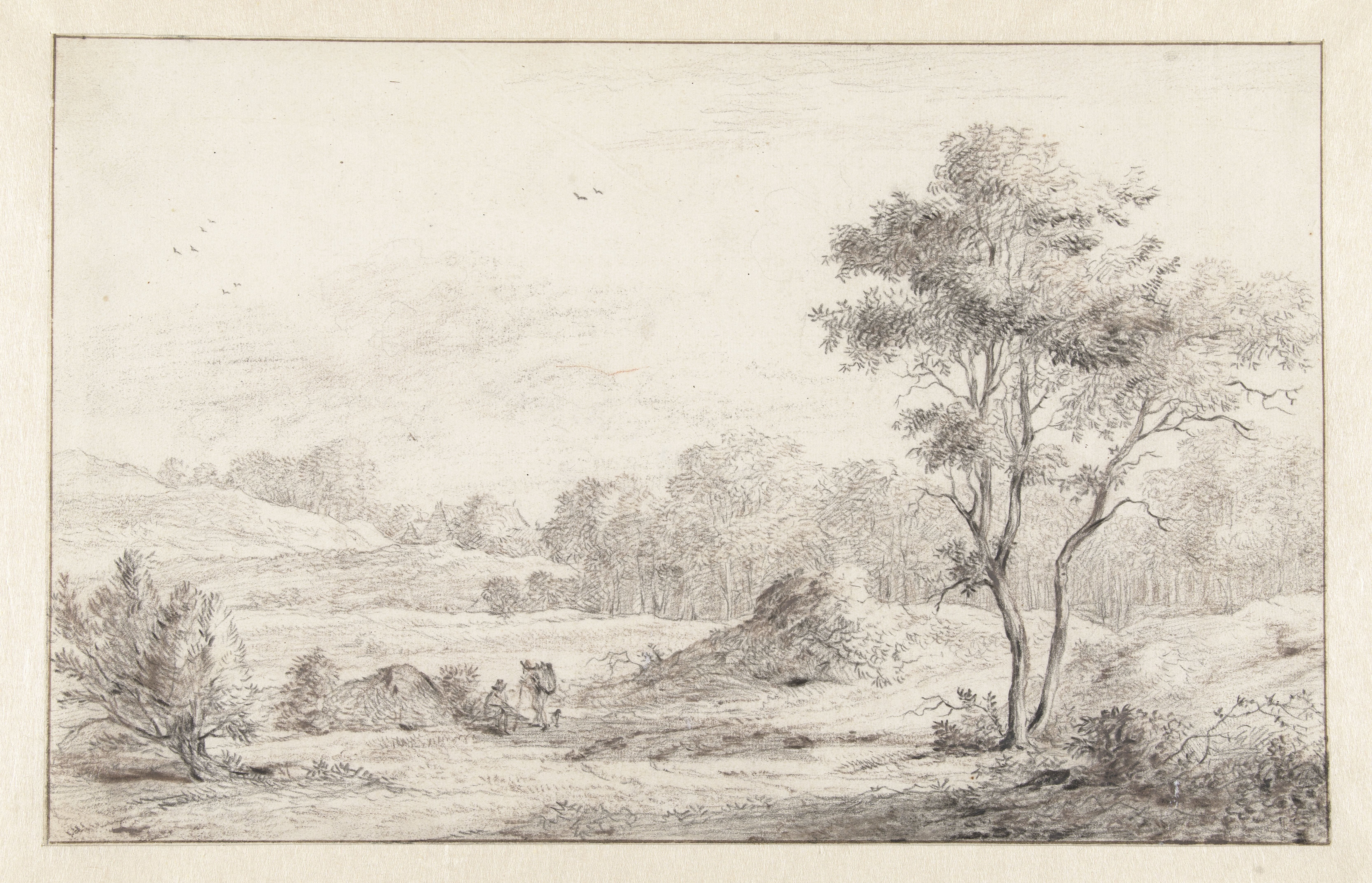 Duinlandschap achter de bleekerij van De Mol