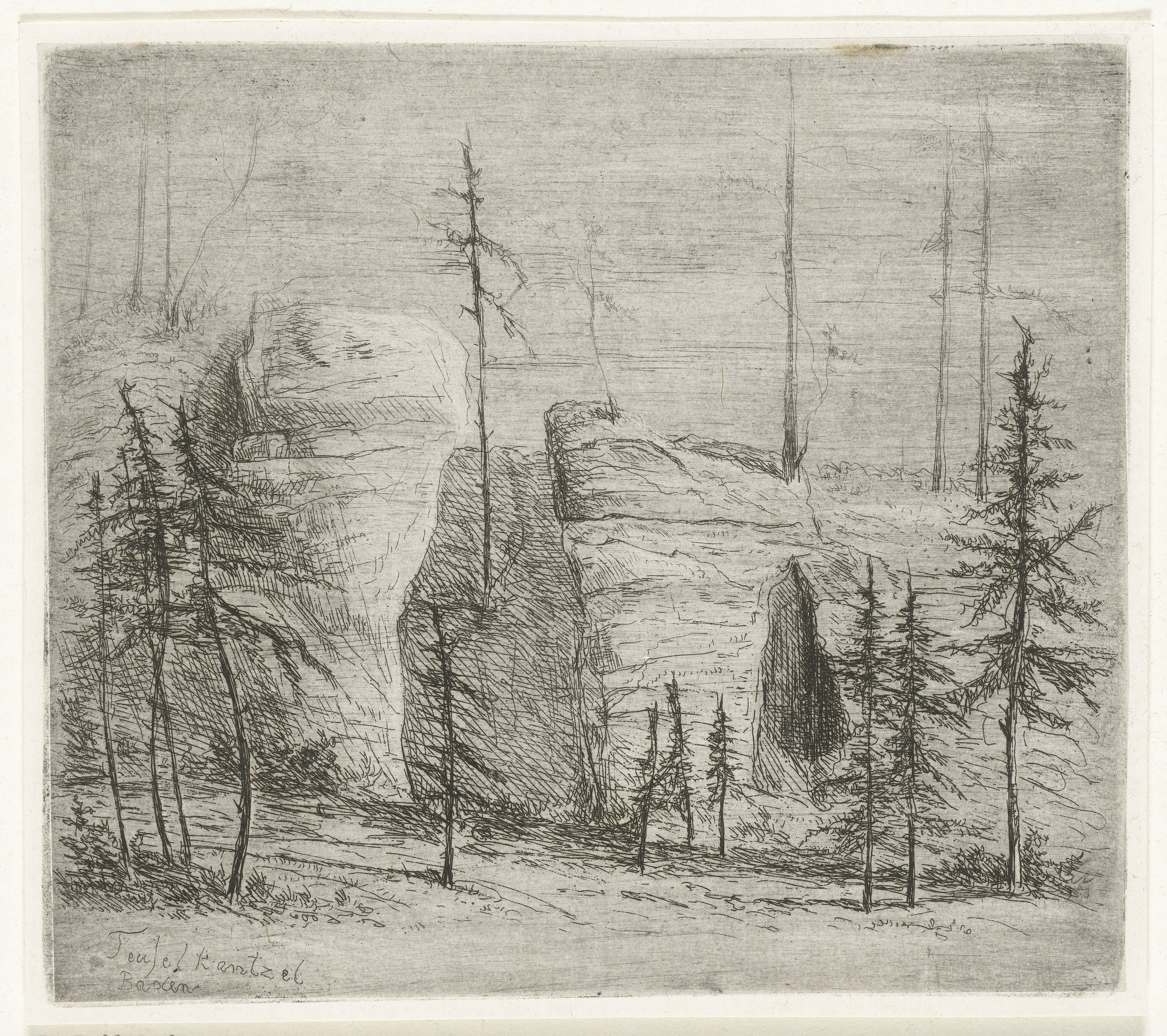Rotslandschap met naaldbomen, de zogenaamde Teufelkanzel