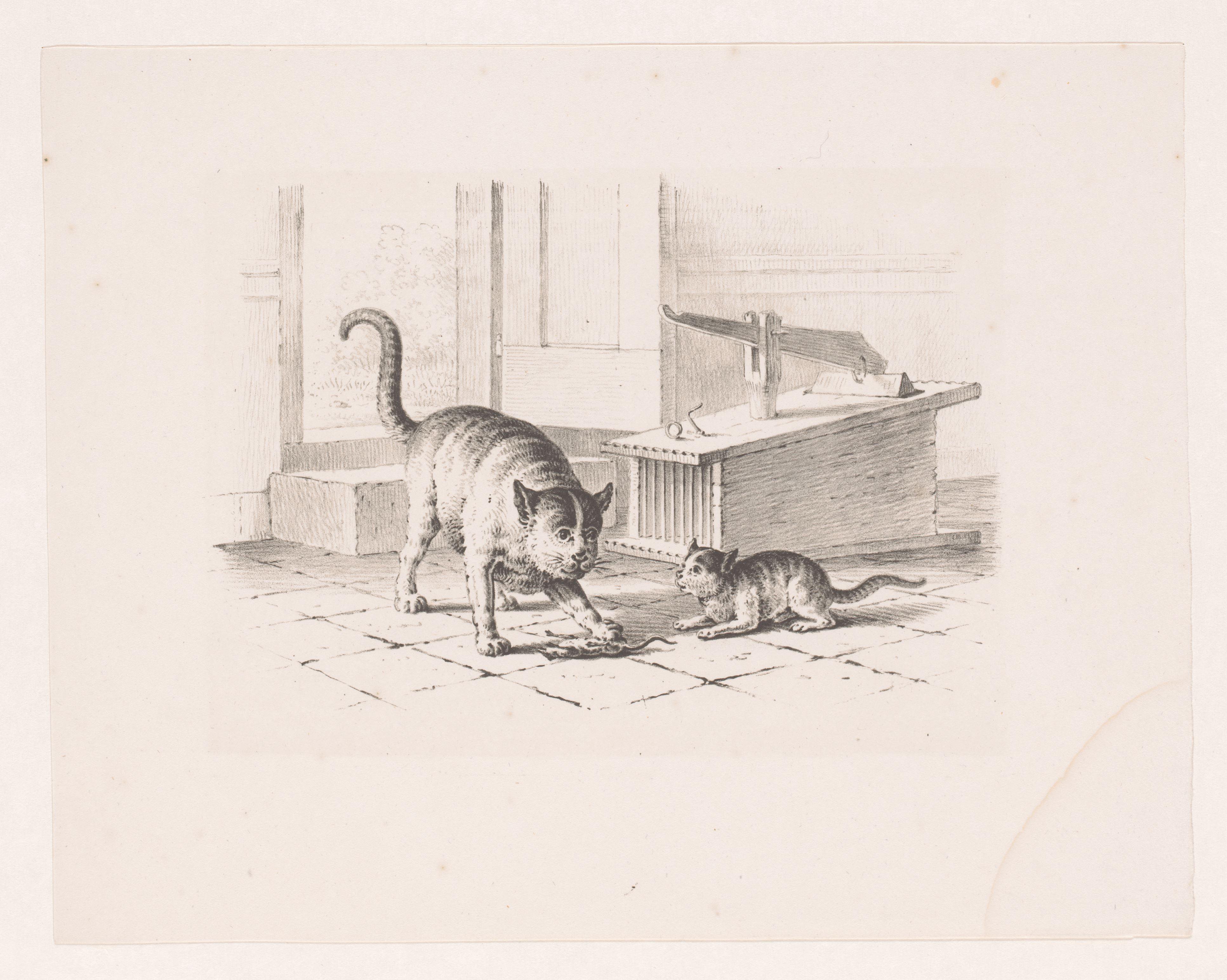 Muizenval en twee katten