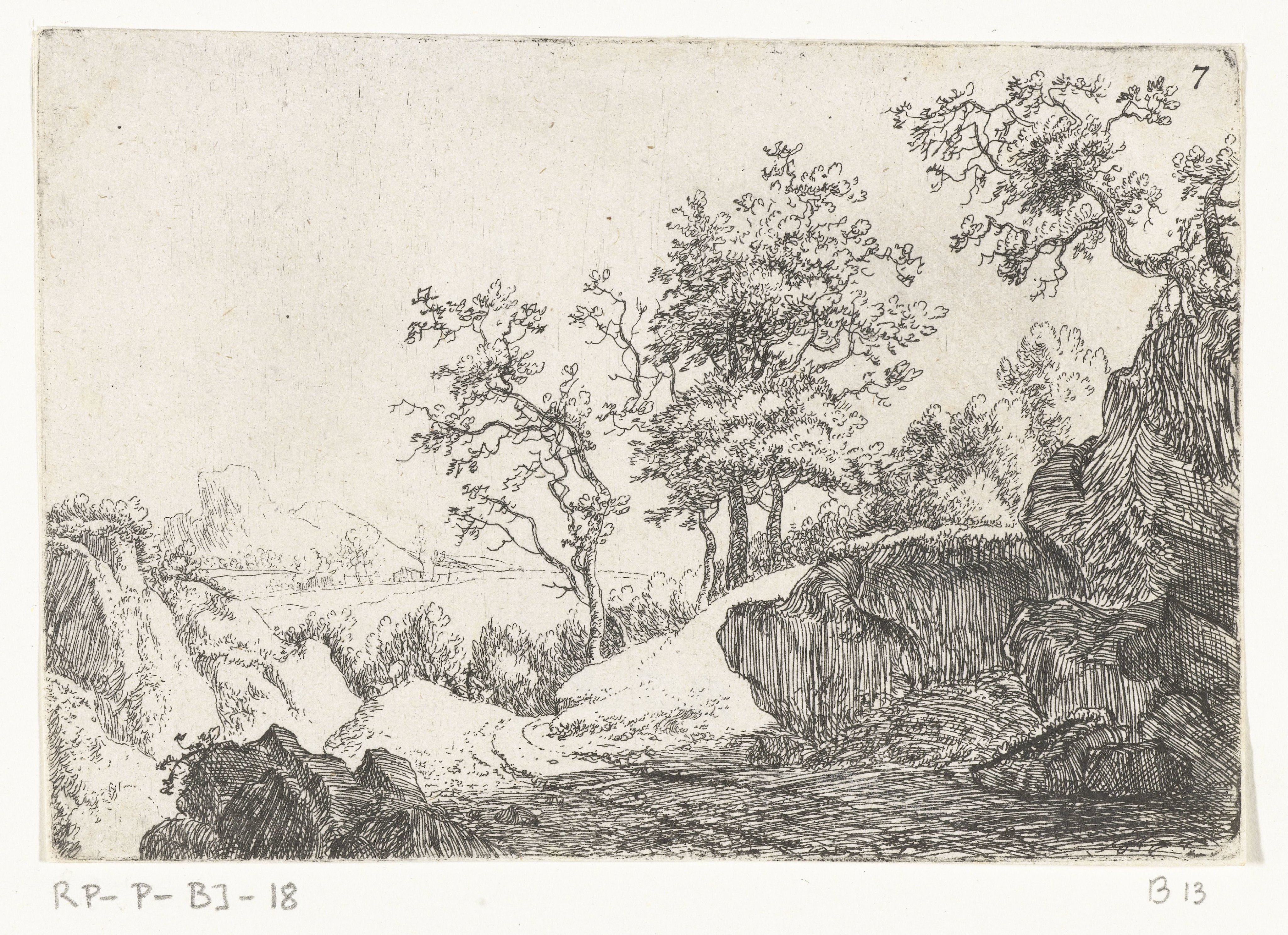Heuvelachtig landschap met bomen