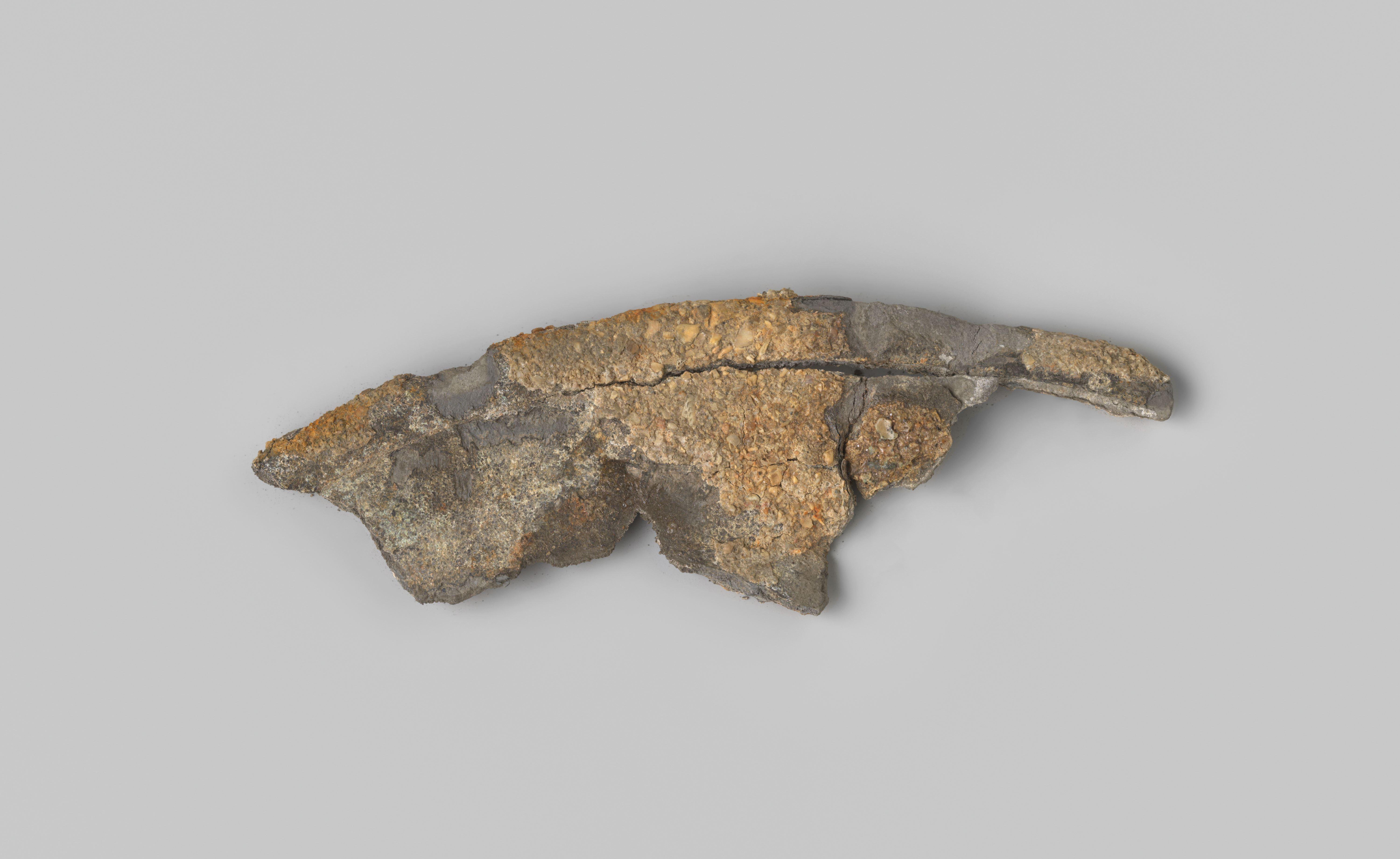 Fragment rand van een bord uit het wrak van de Oost-Indiëvaarder Hollandia