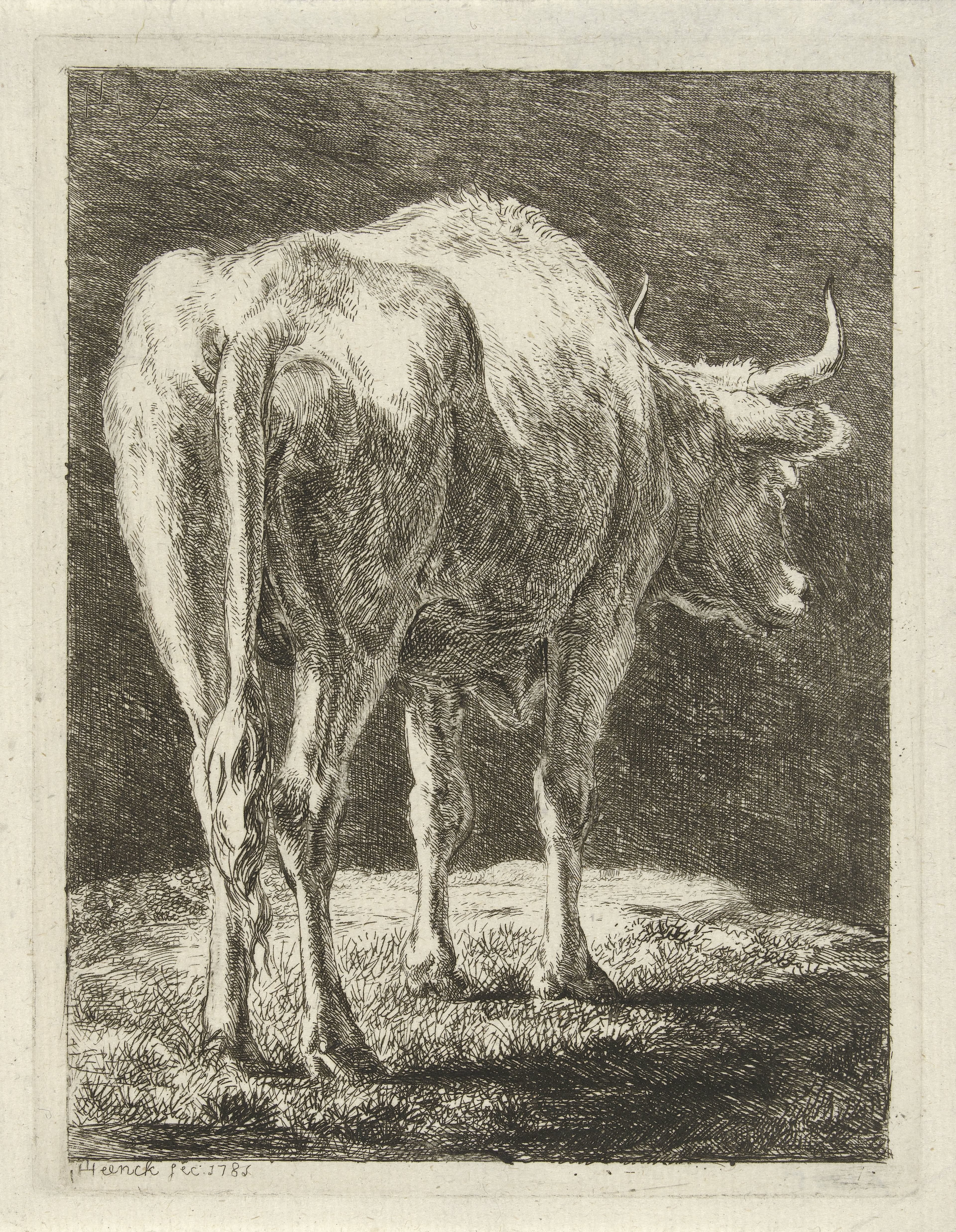 Koe in een landschap