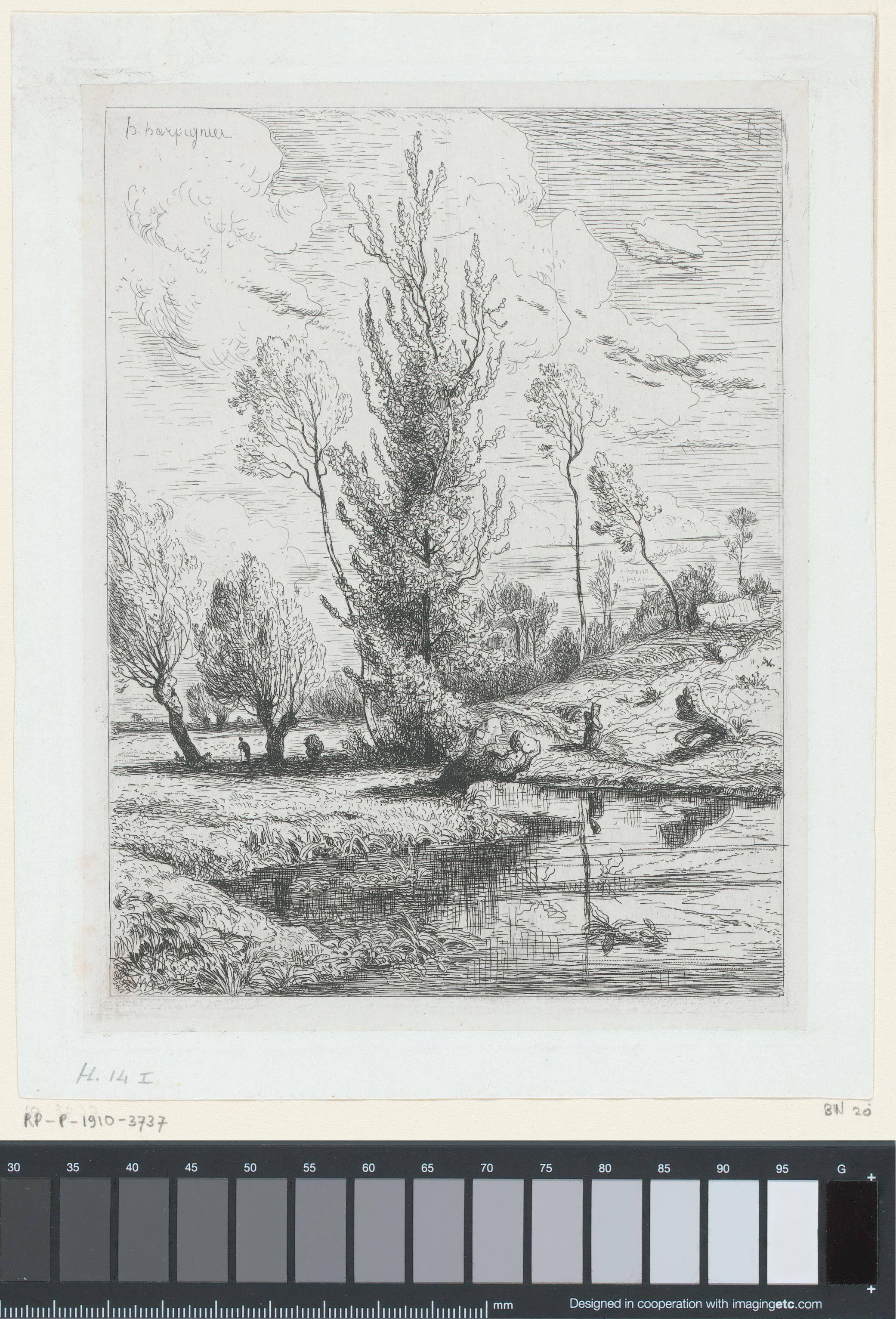 Landschap met bomen bij een plas