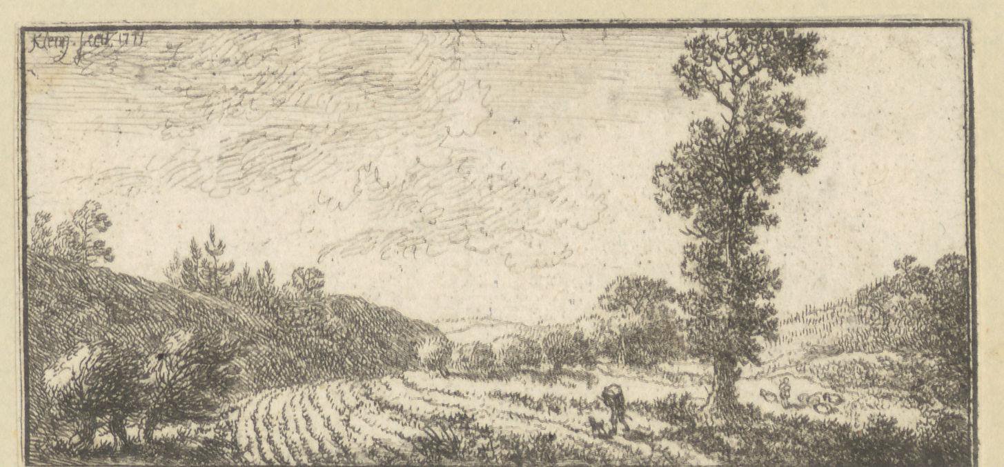 Landschap met reiziger bij een grote boom